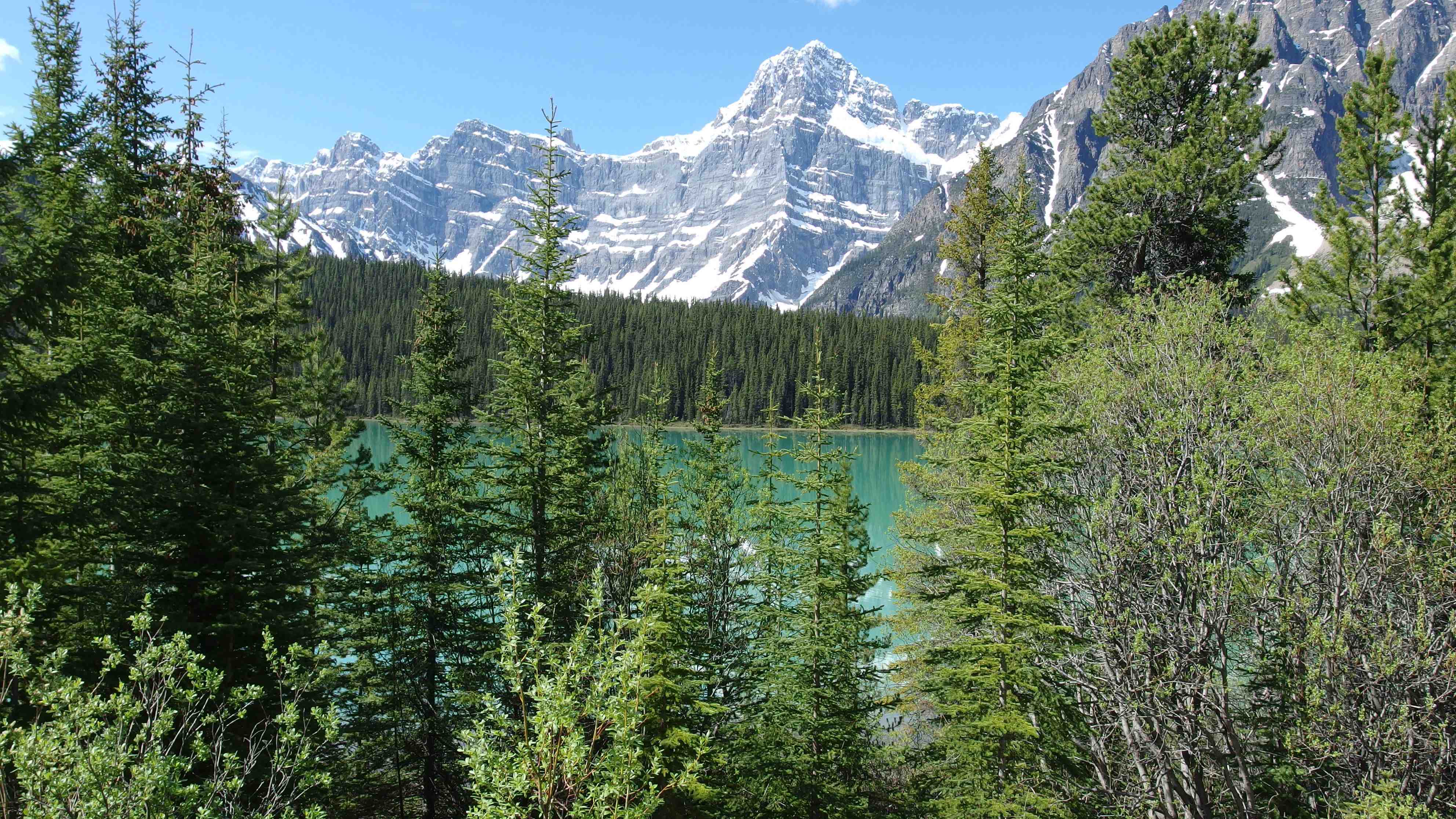 Alberta, Canada imgp1943