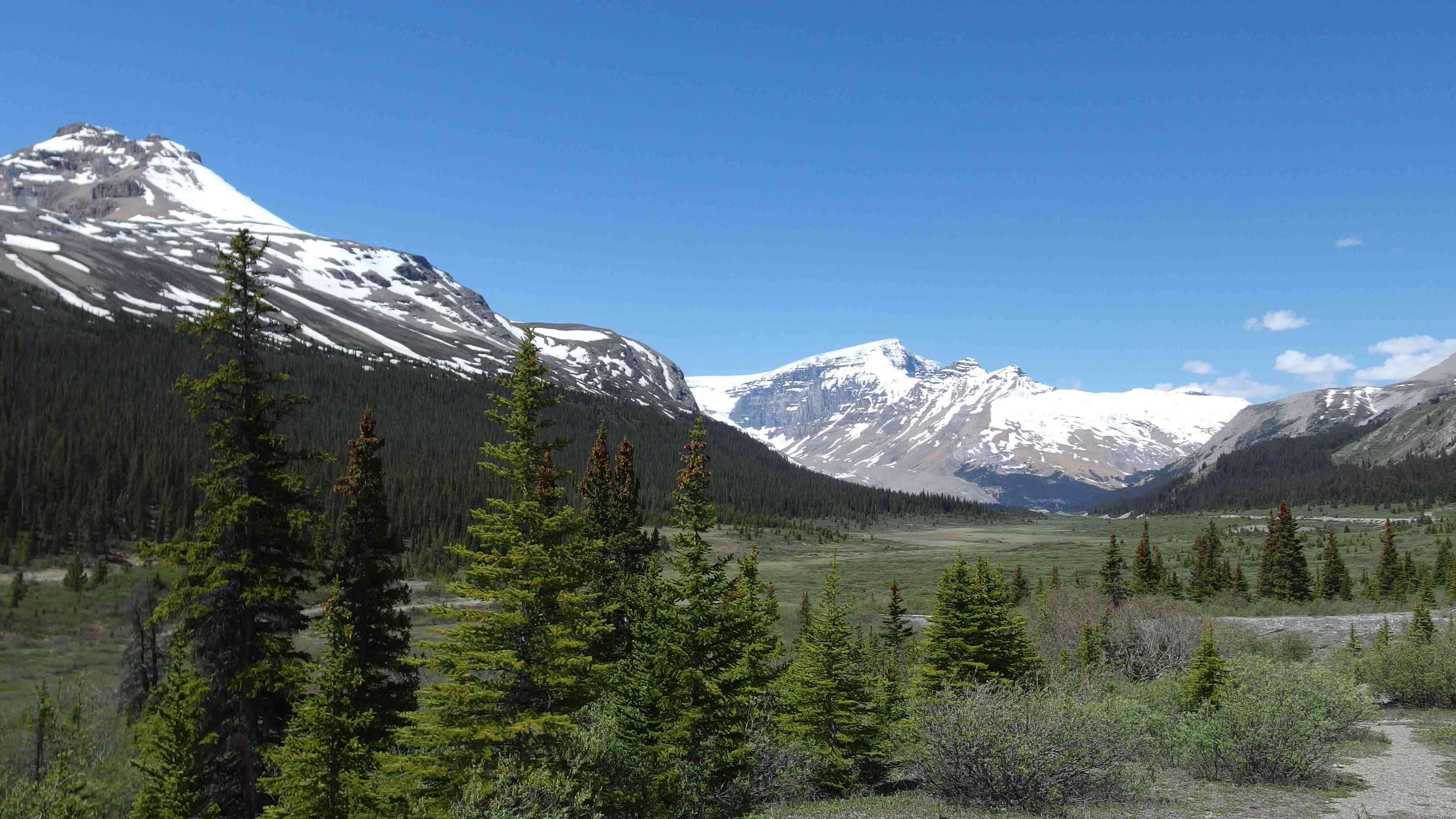 Alberta, Canada imgp1980