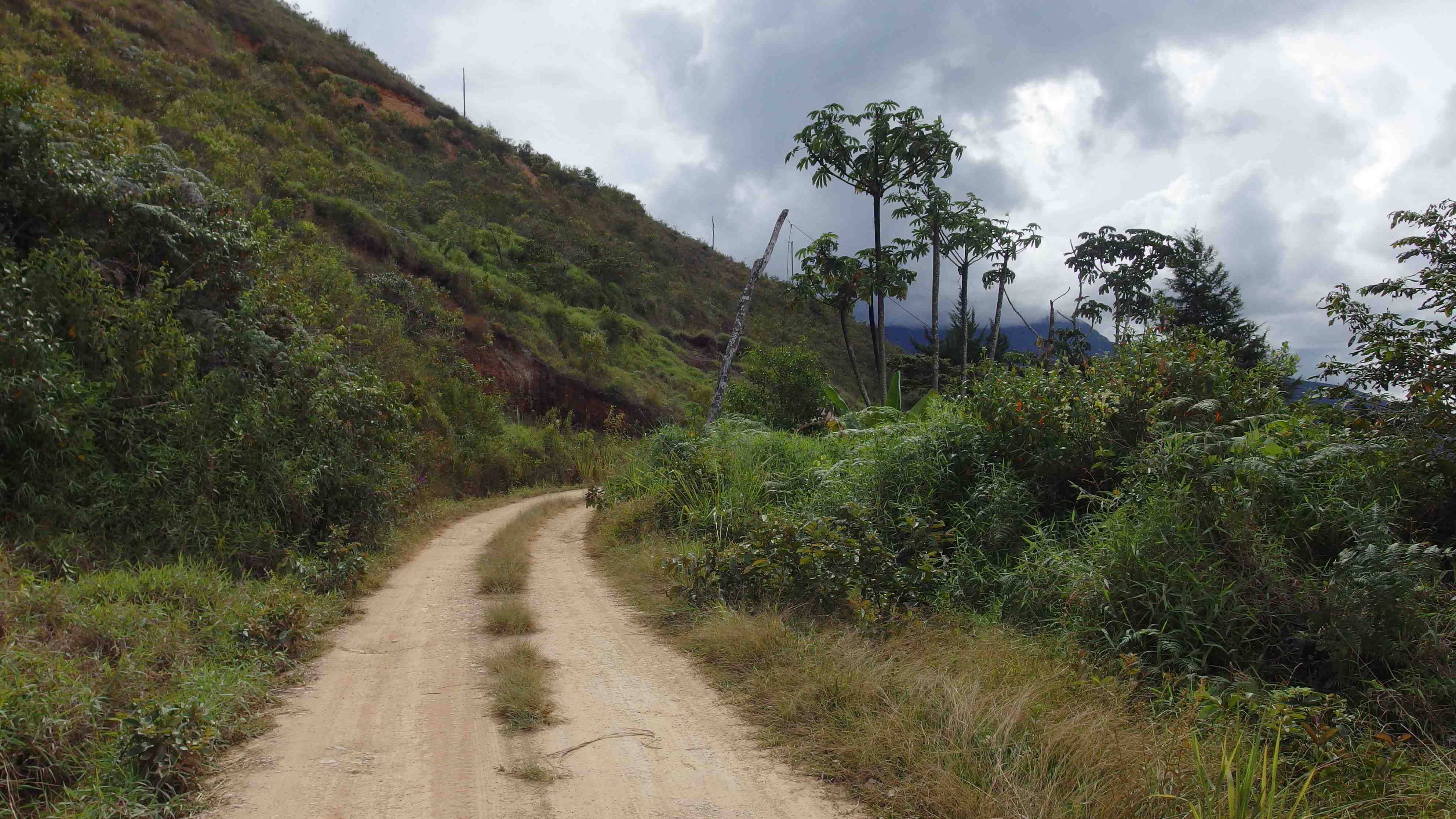 La ruta del oro
