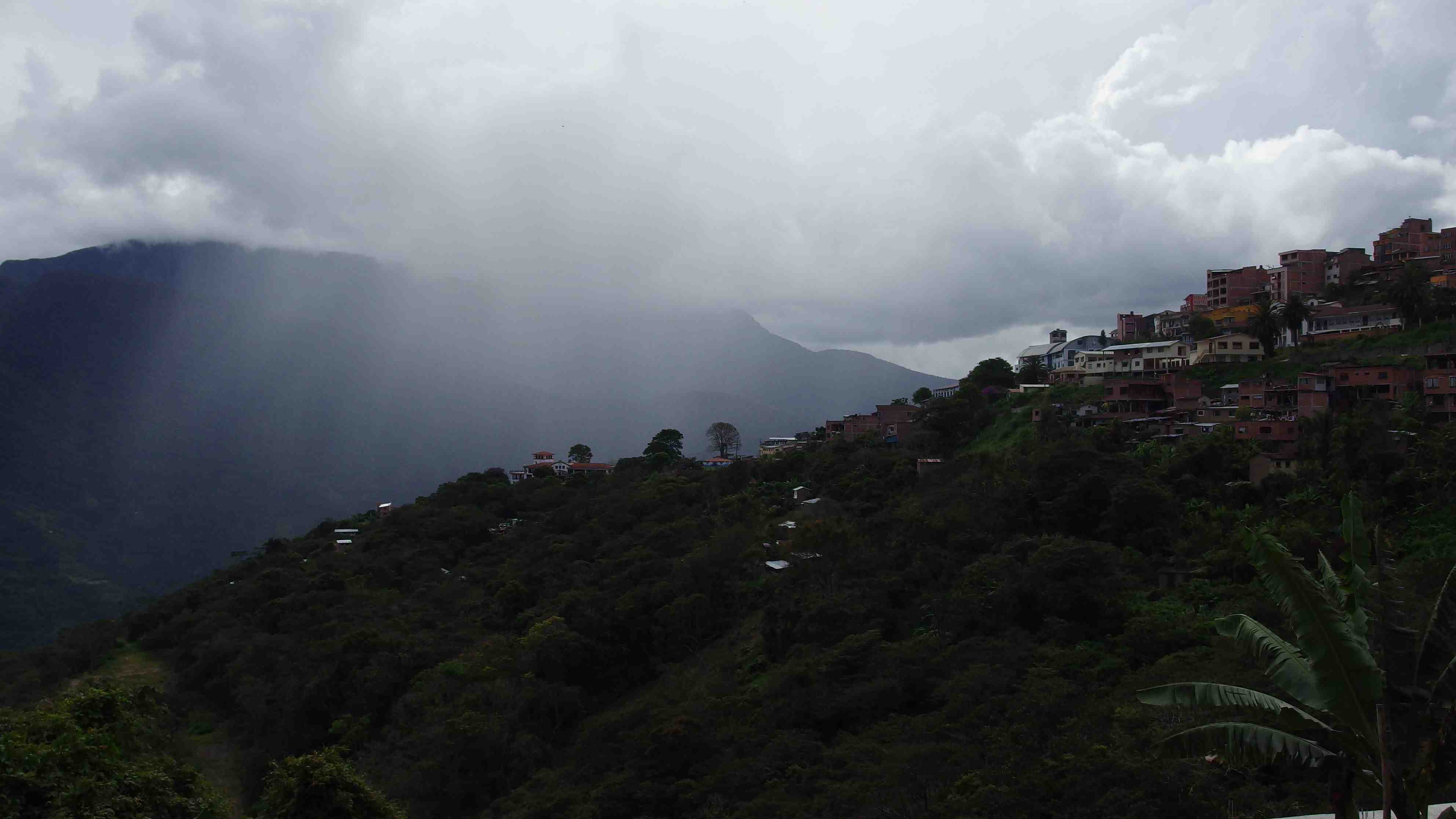 La ruta del oro