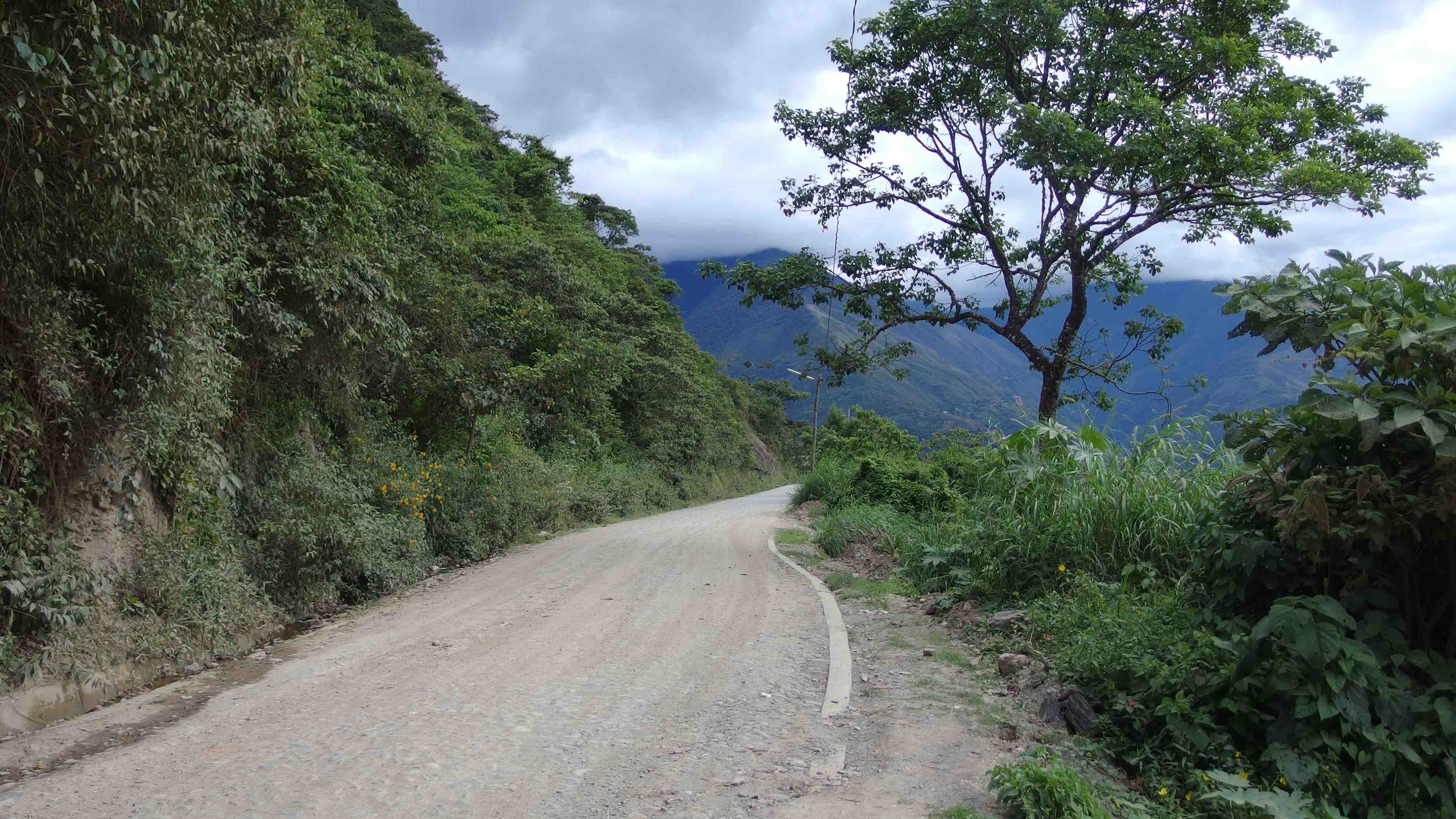 La ruta del oro