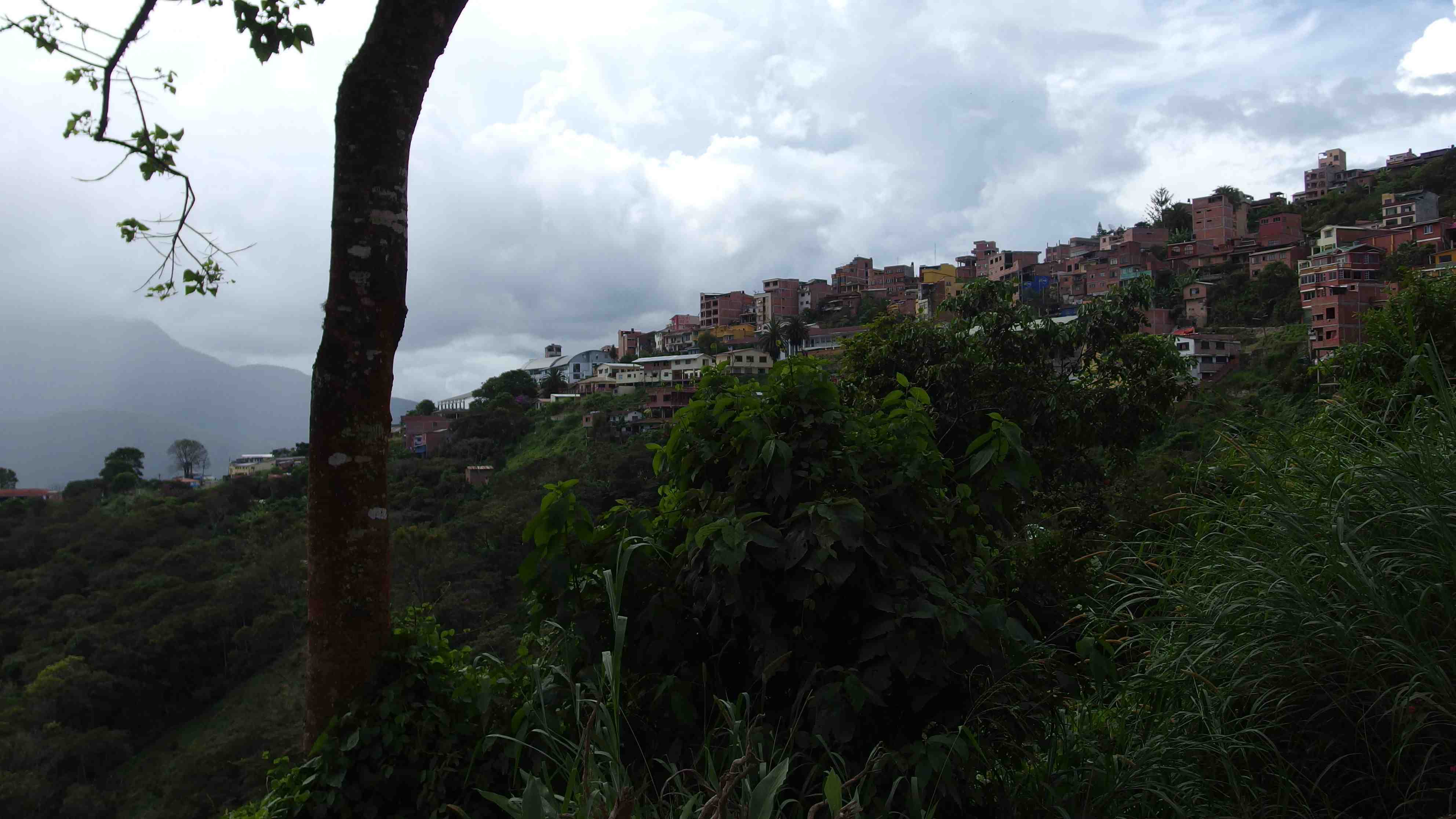 La ruta del oro