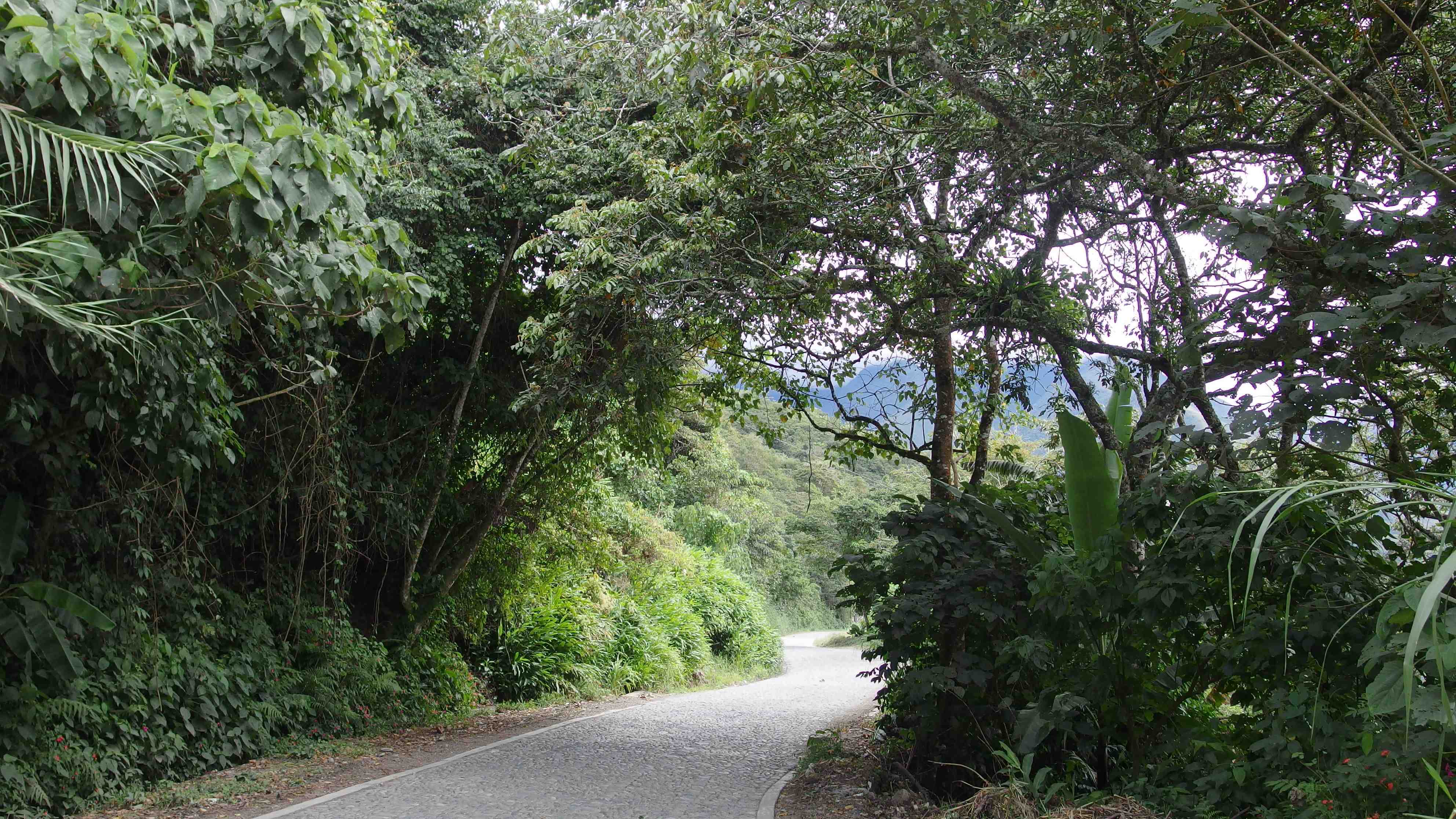 La ruta del oro