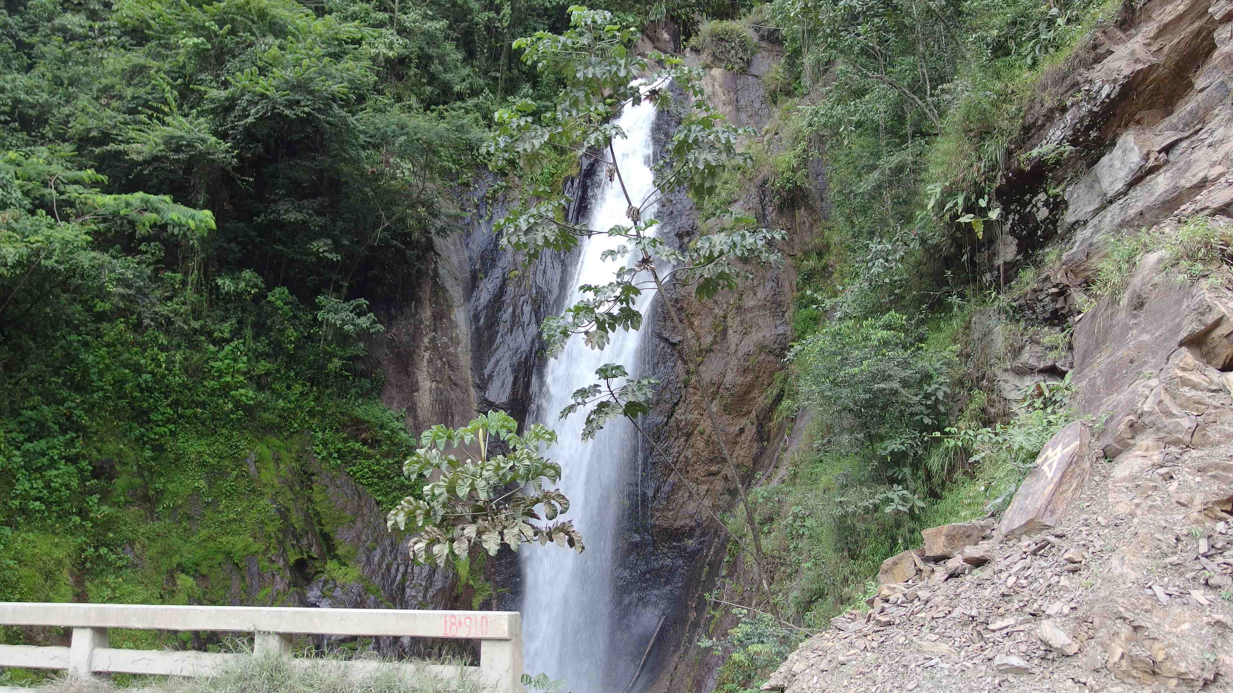 La ruta del oro
