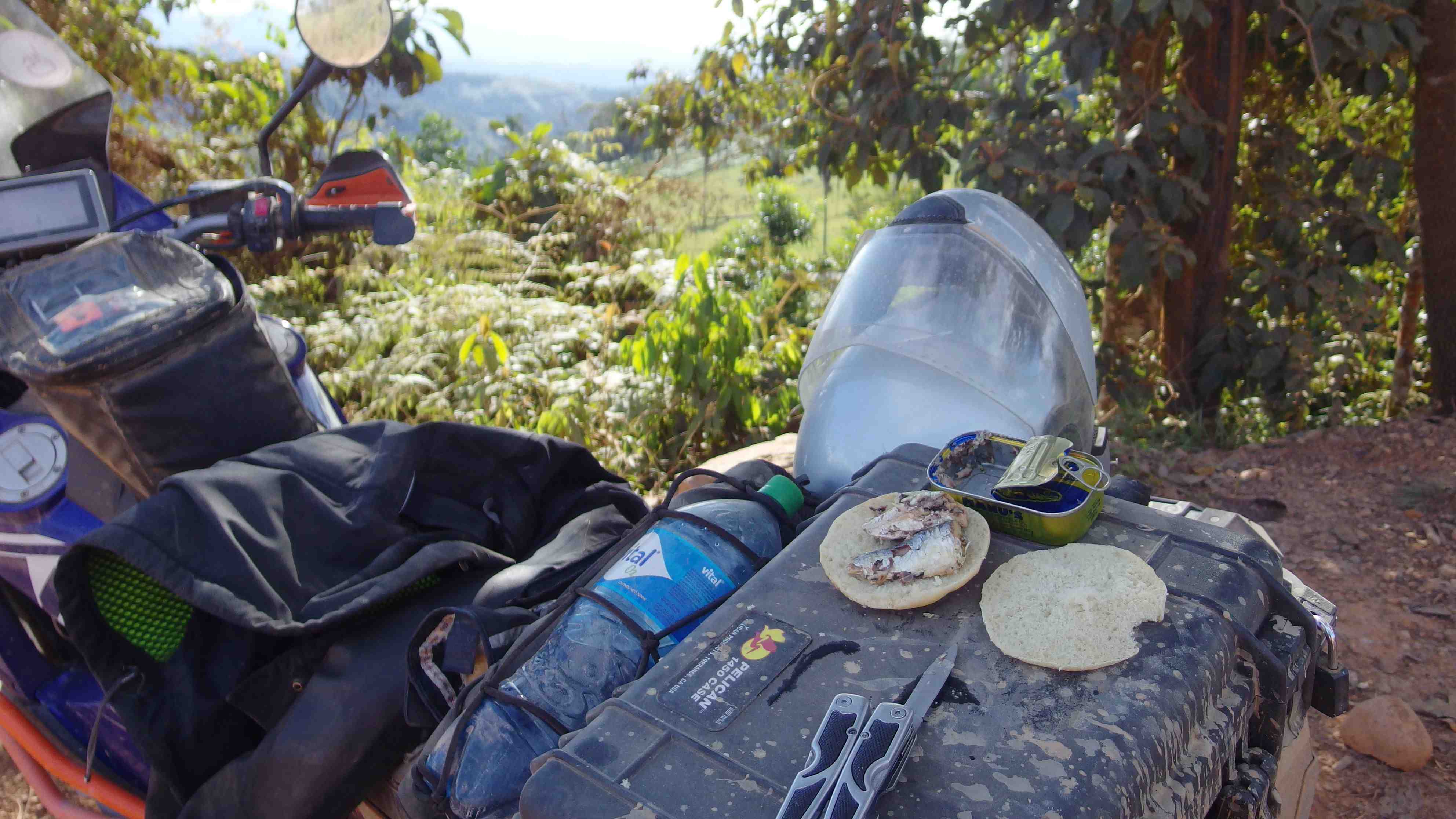 La ruta del oro