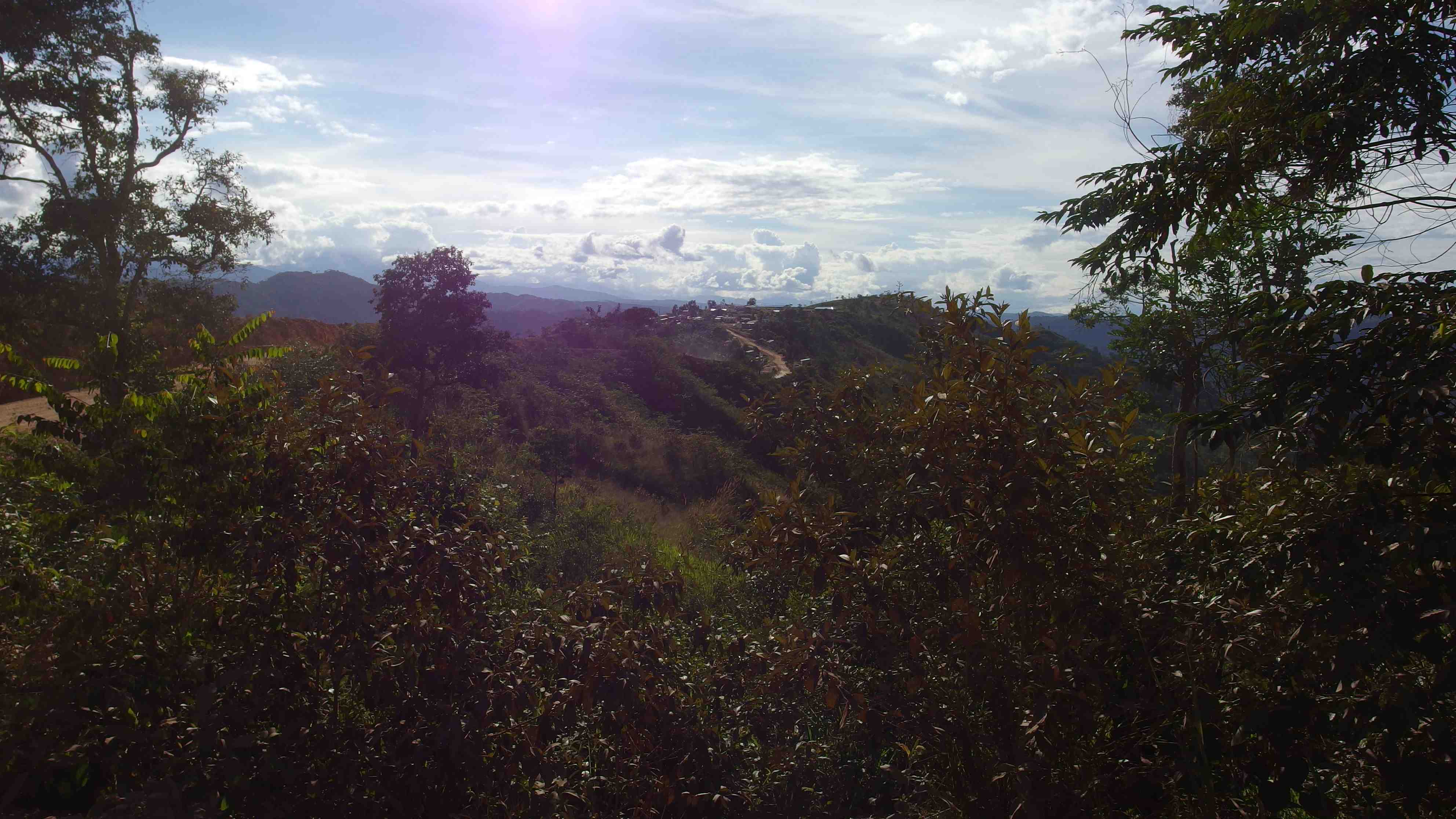 La ruta del oro