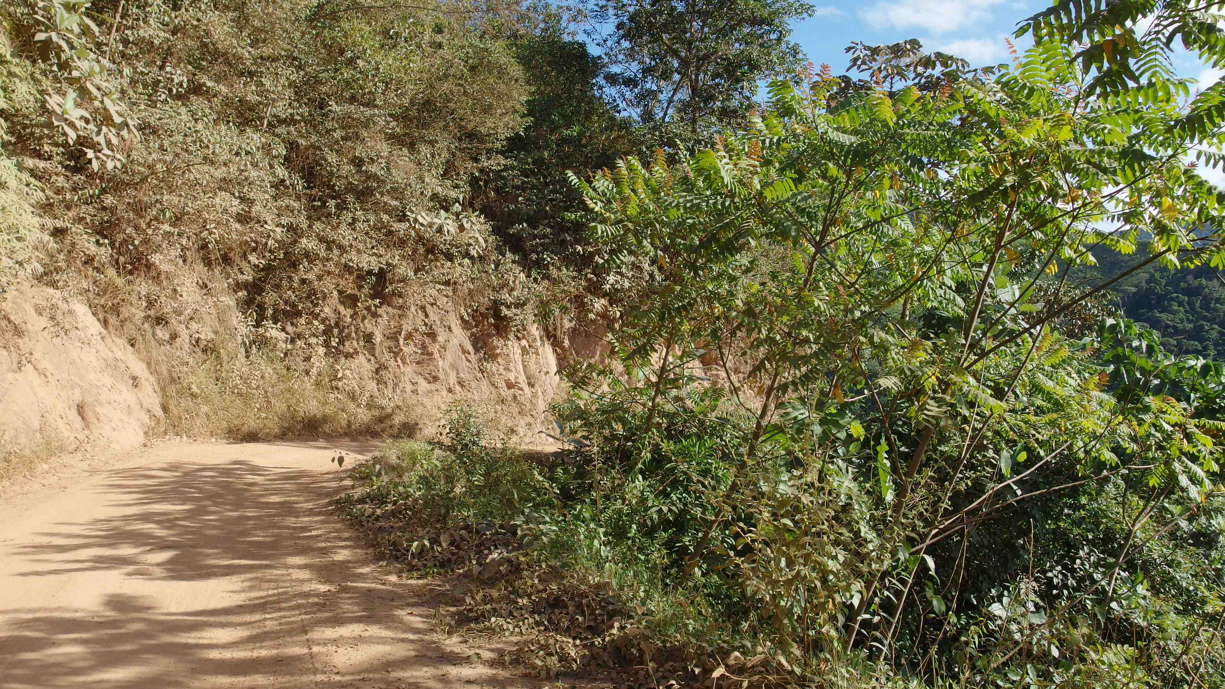 La ruta del oro