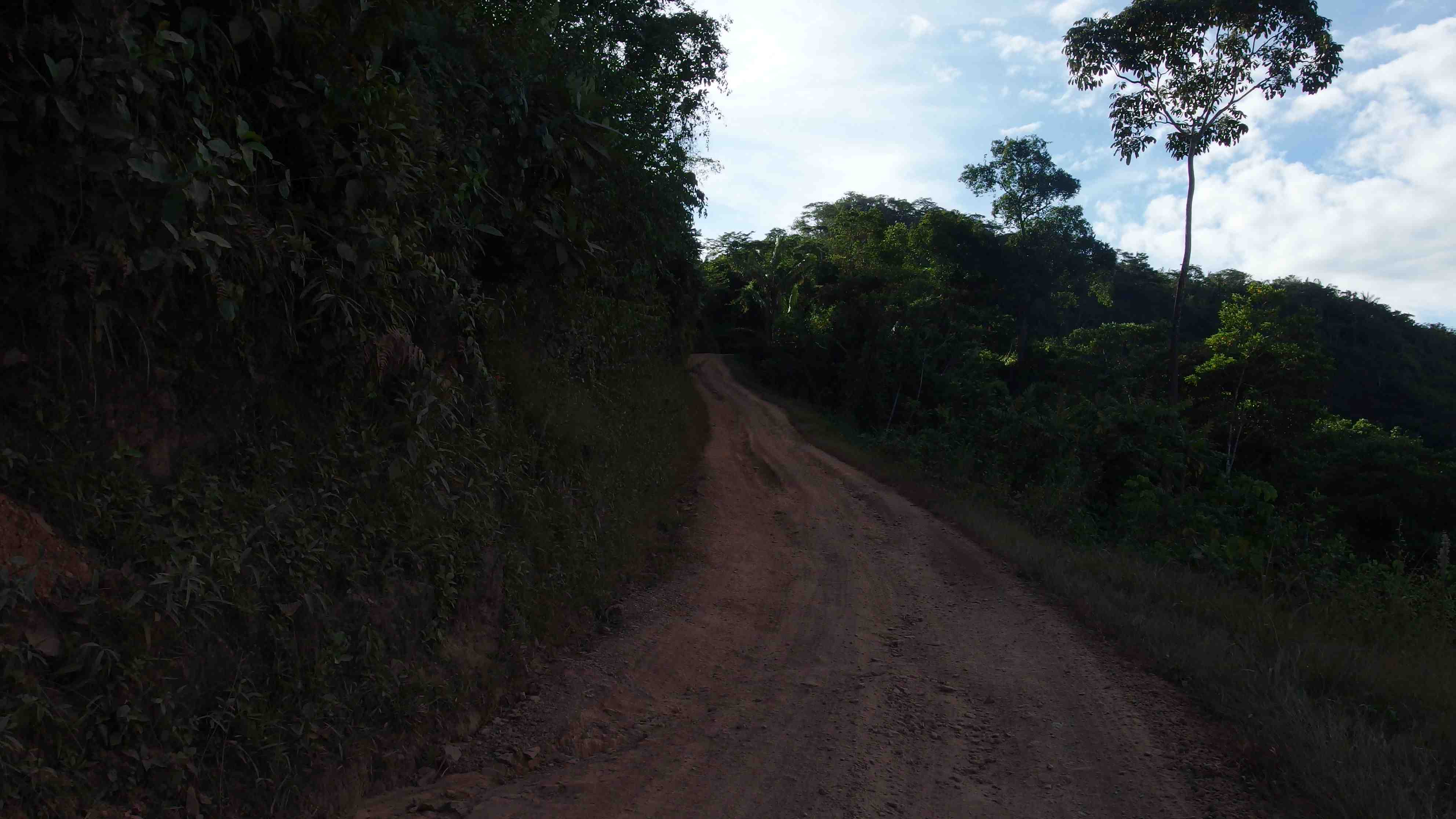 La ruta del oro