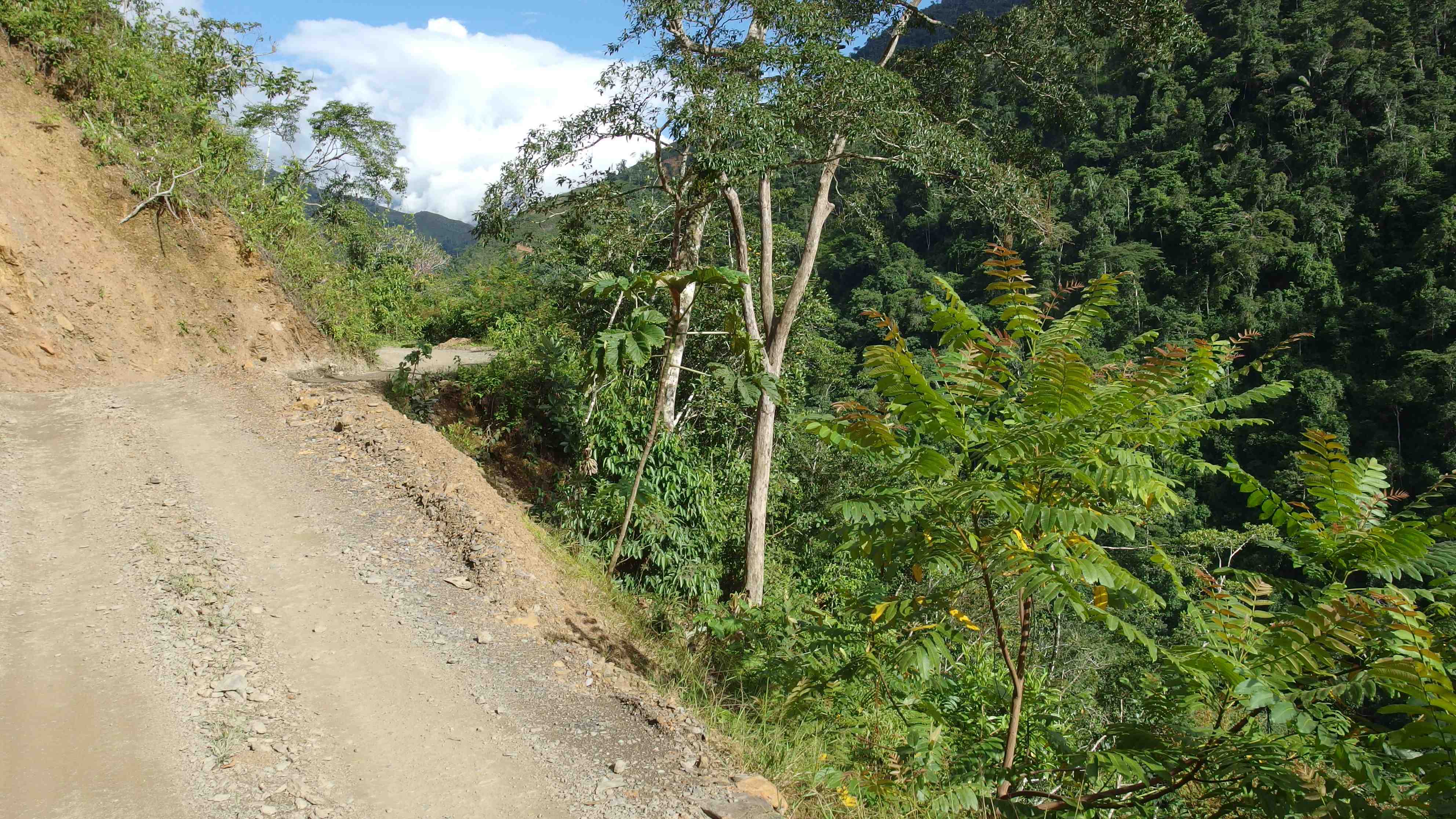 La ruta del oro