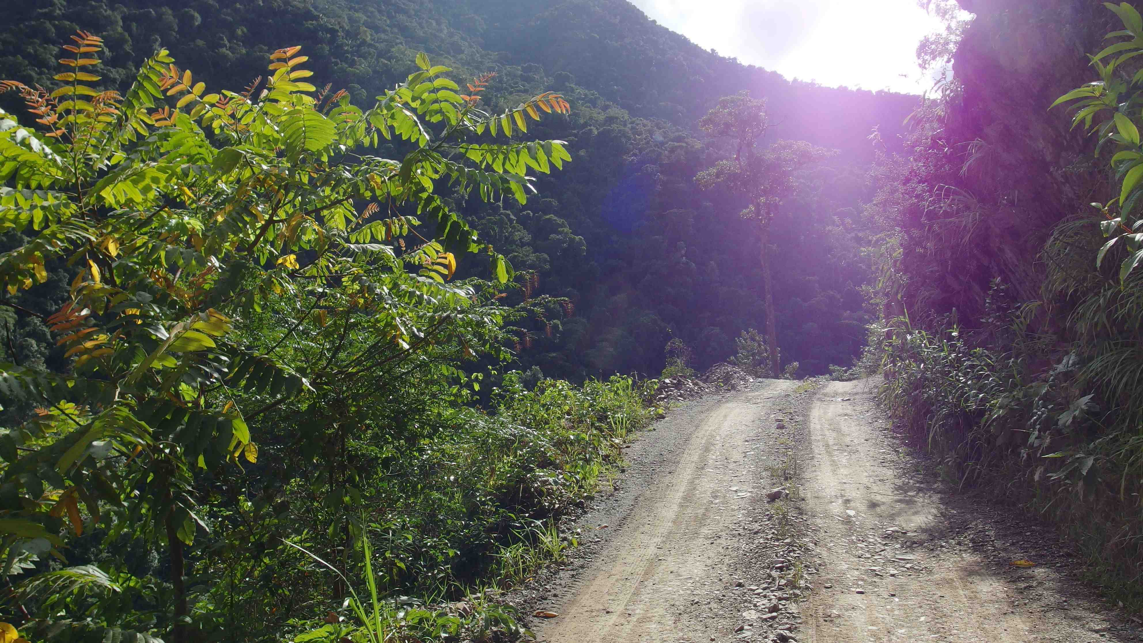 La ruta del oro