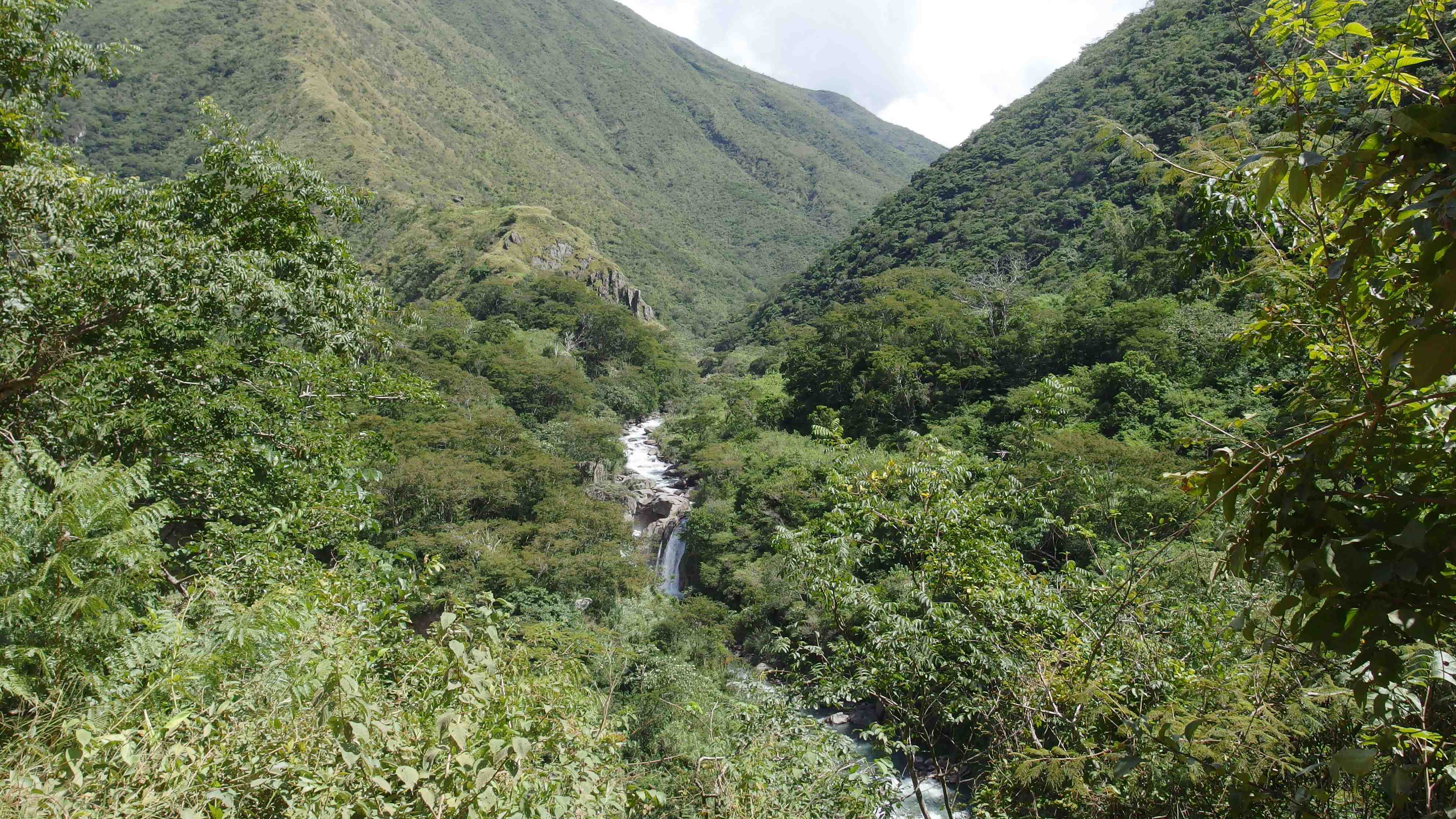 La ruta del oro