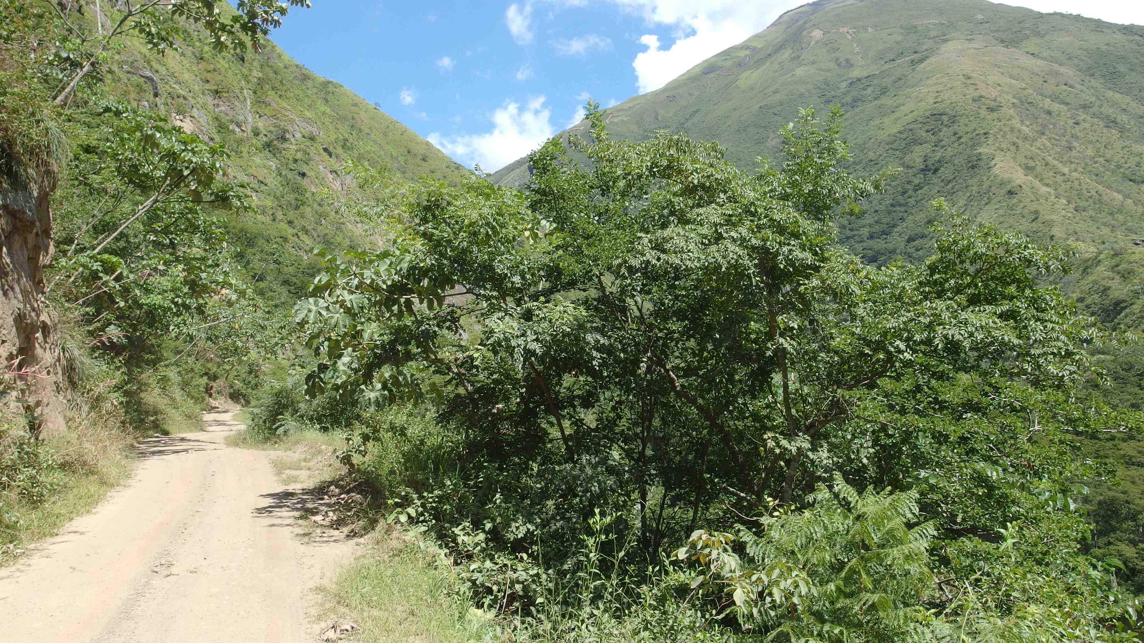 La ruta del oro