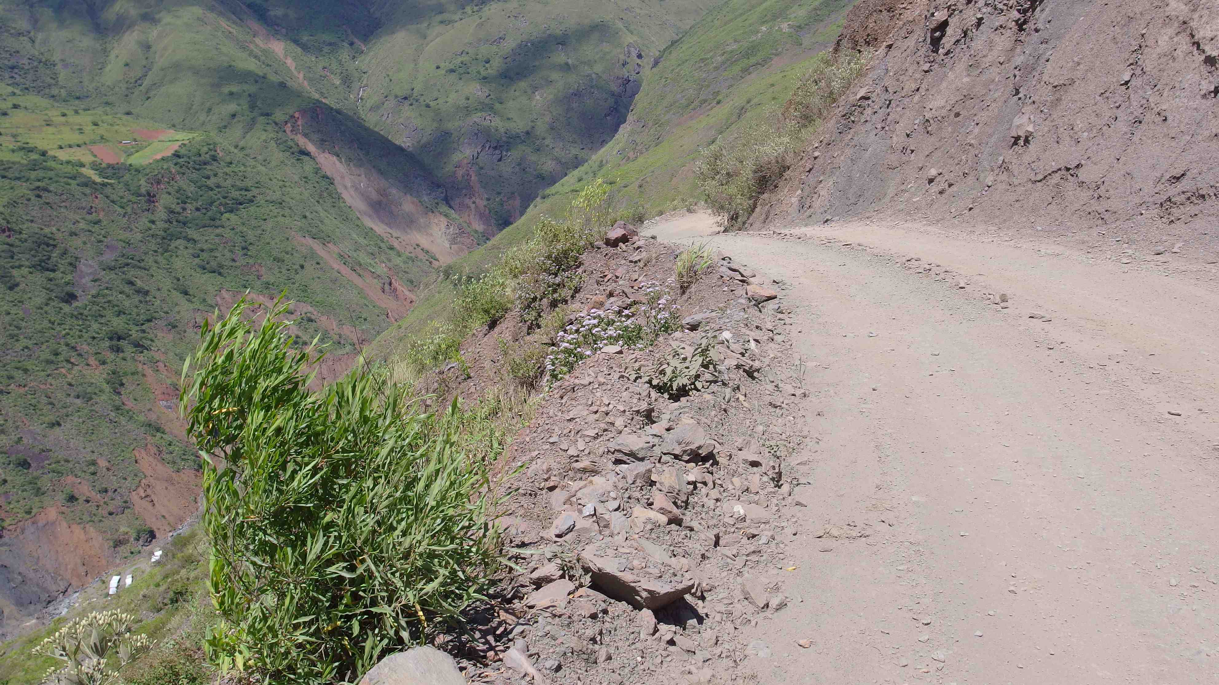 La ruta del oro