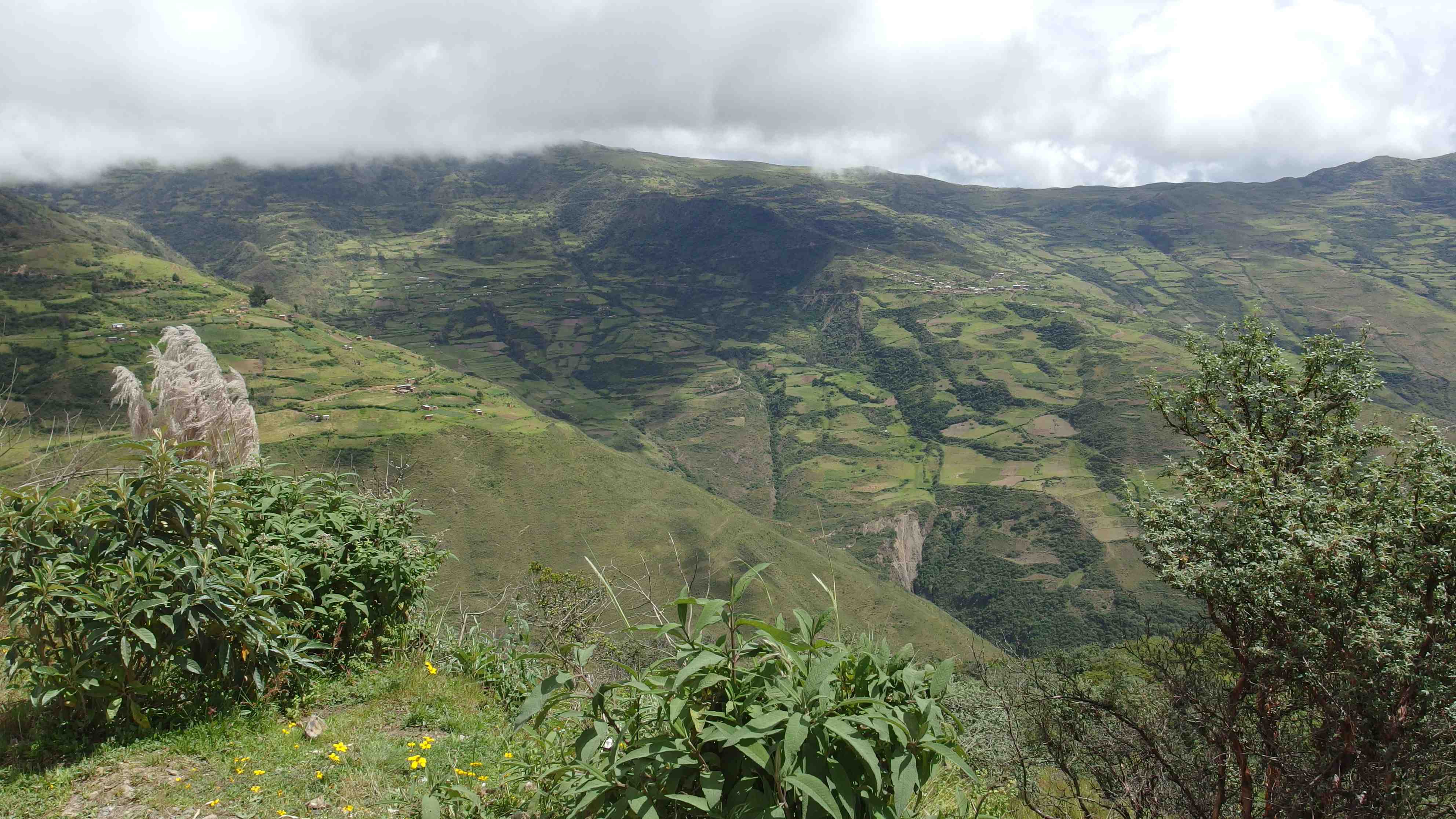 La ruta del oro