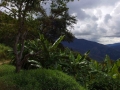 La ruta del oro