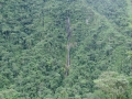La ruta del oro