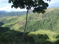 La ruta del oro