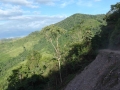 La ruta del oro