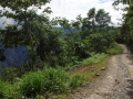 La ruta del oro