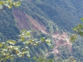 La ruta del oro
