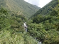 La ruta del oro