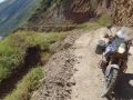 La ruta del oro