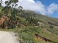 La ruta del oro