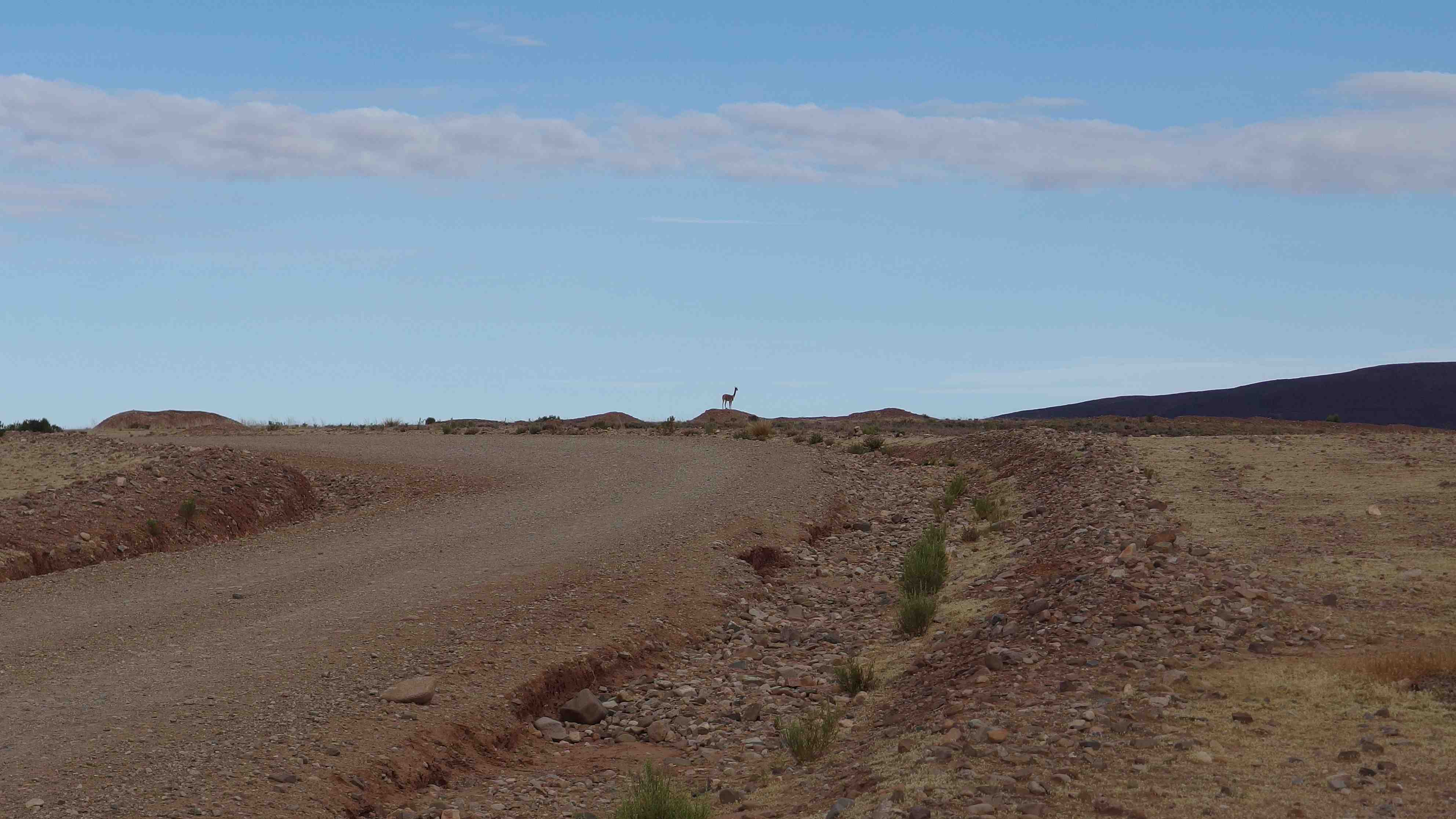 Camino a Challapata