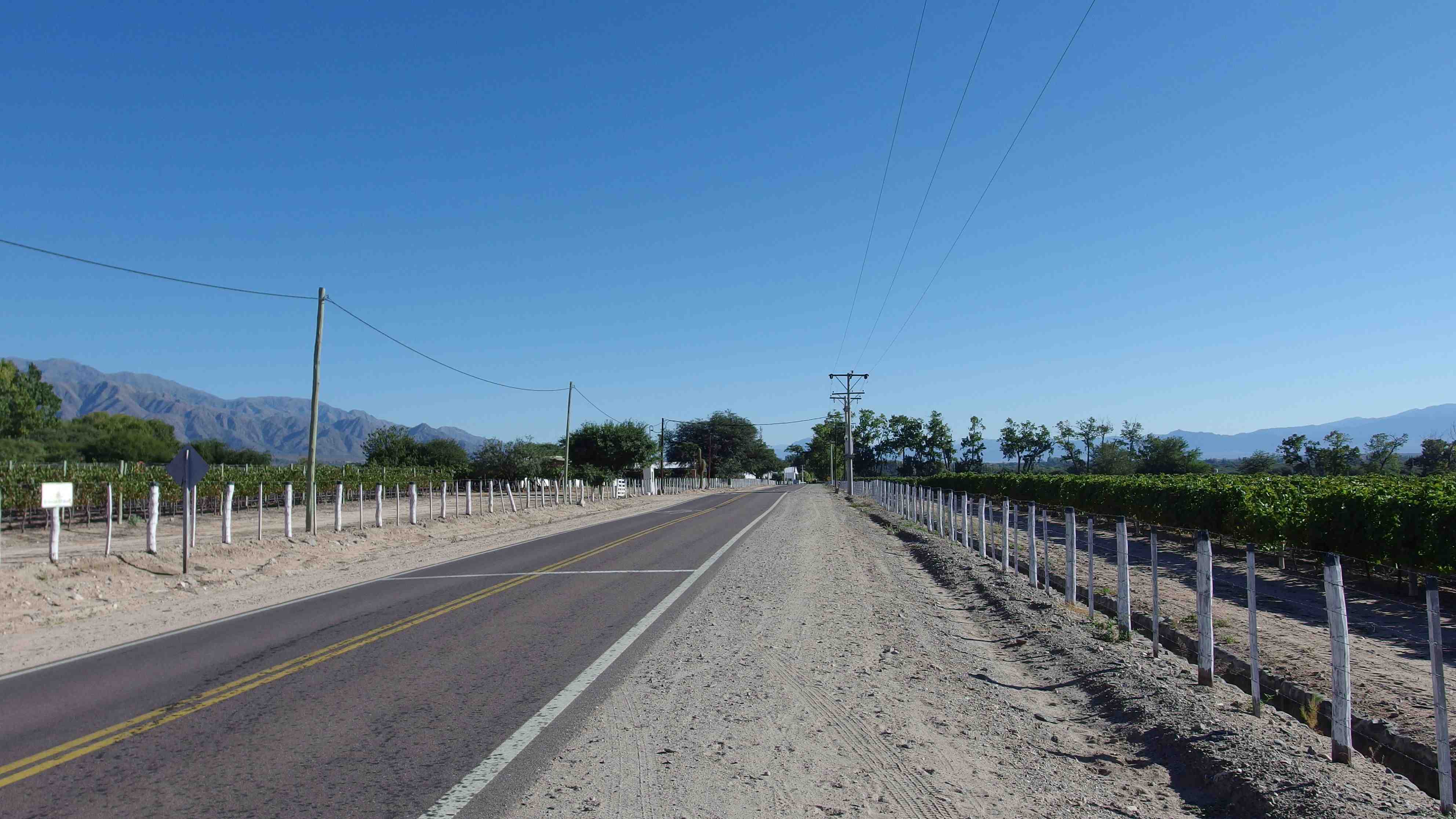 Ruta 40