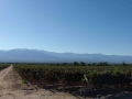 Ruta 40