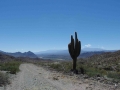 Ruta 40