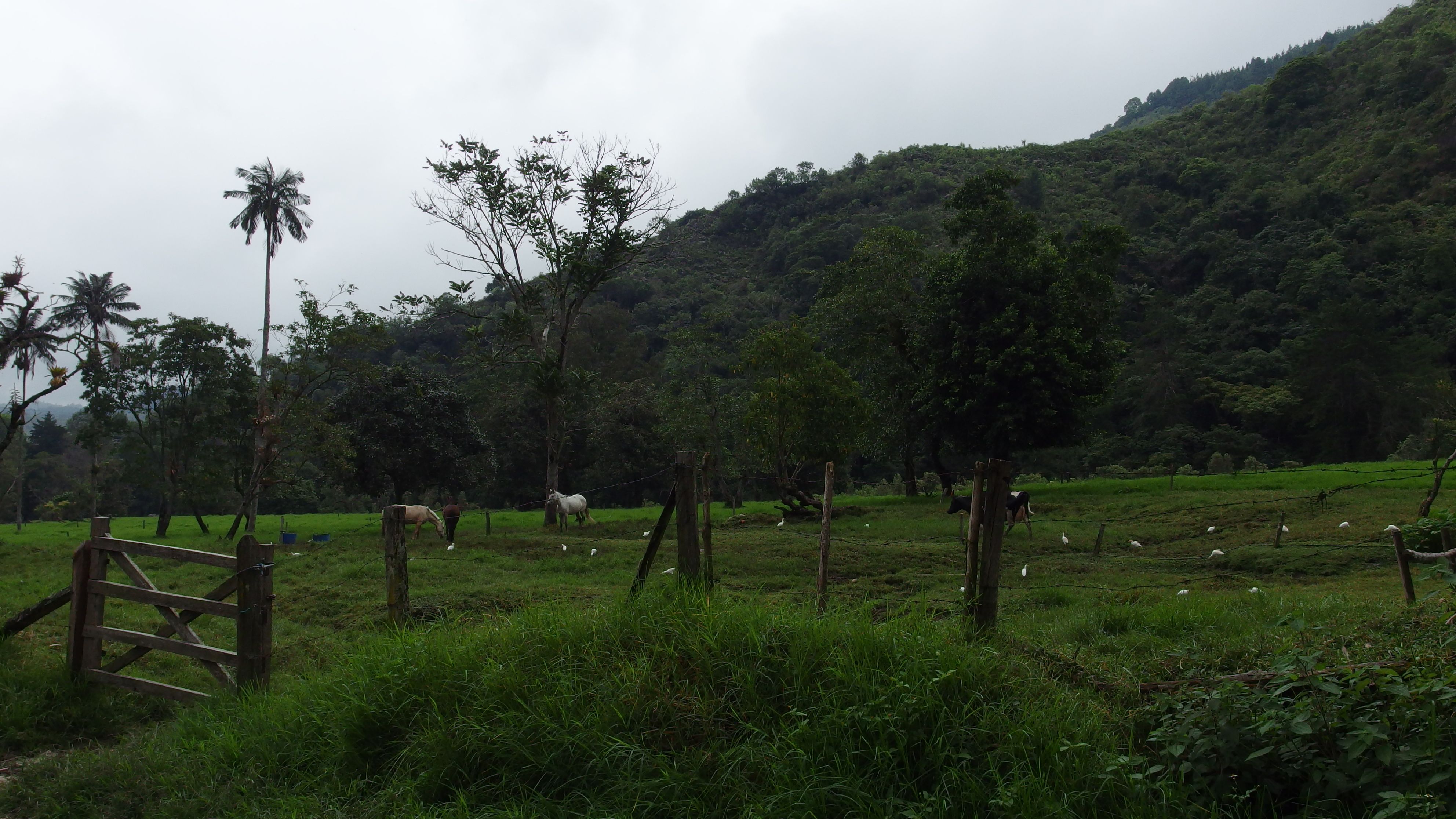 Colombia-Salento