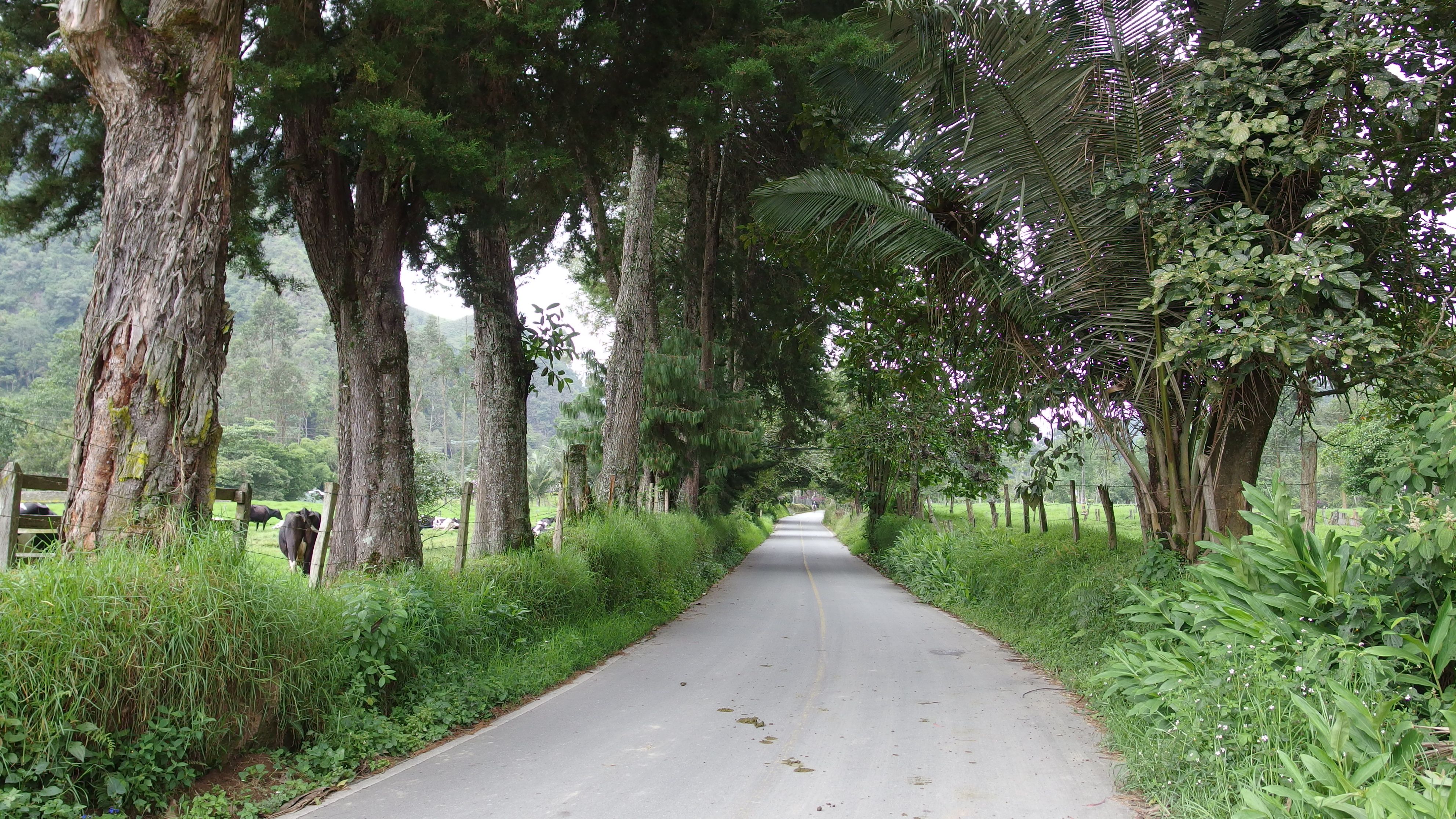 Colombia-Salento
