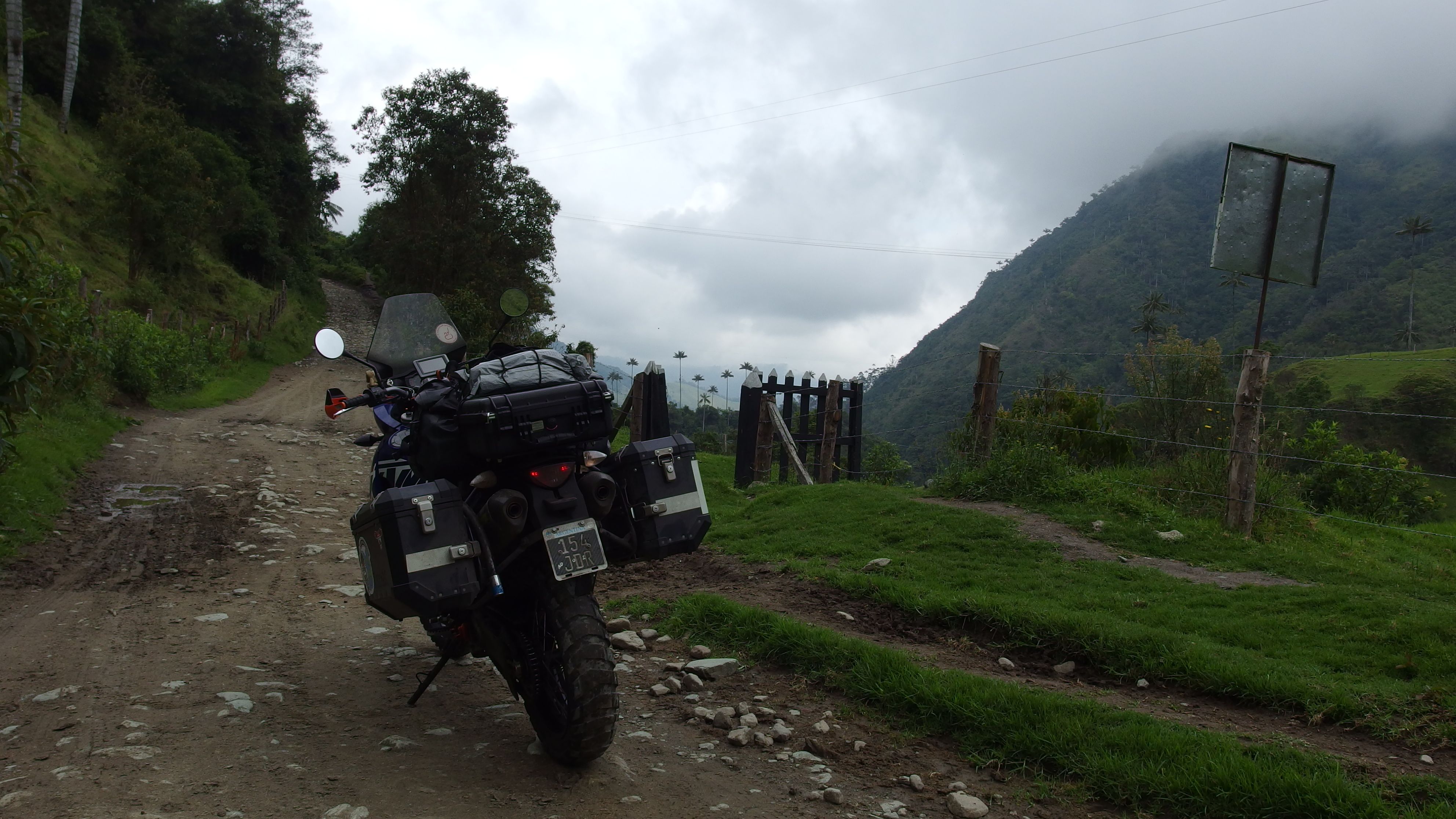 Colombia-Salento. Valle del Cocora