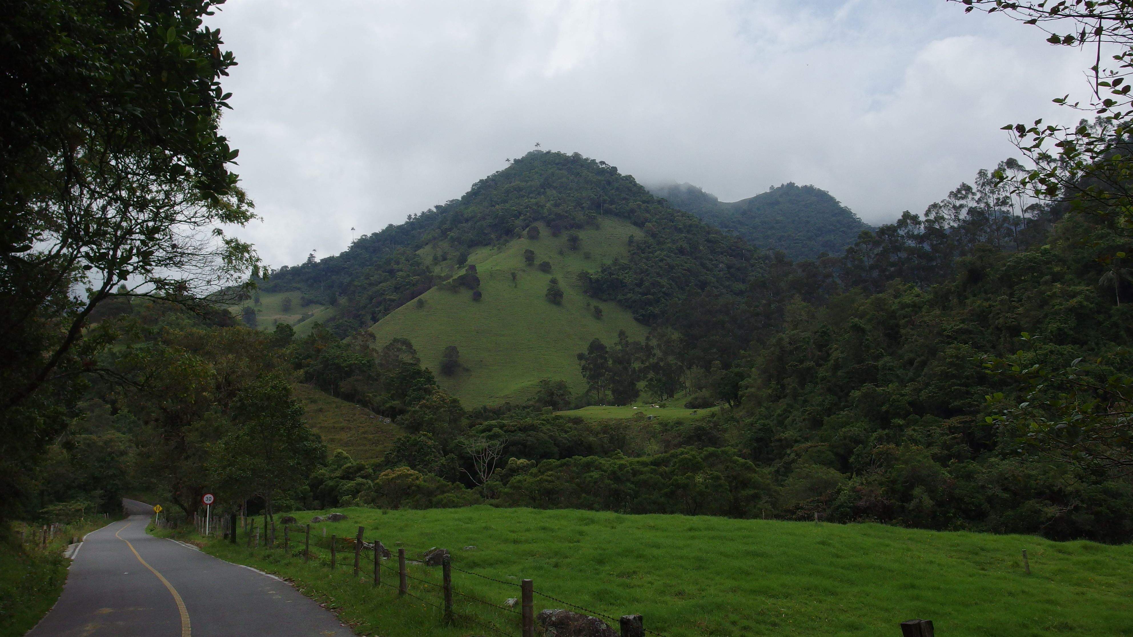 Colombia-Salento. Valle del Cocora