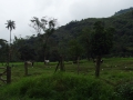 Colombia-Salento
