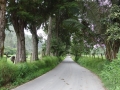 Colombia-Salento