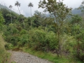 Colombia-Salento