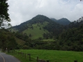Colombia-Salento. Valle del Cocora