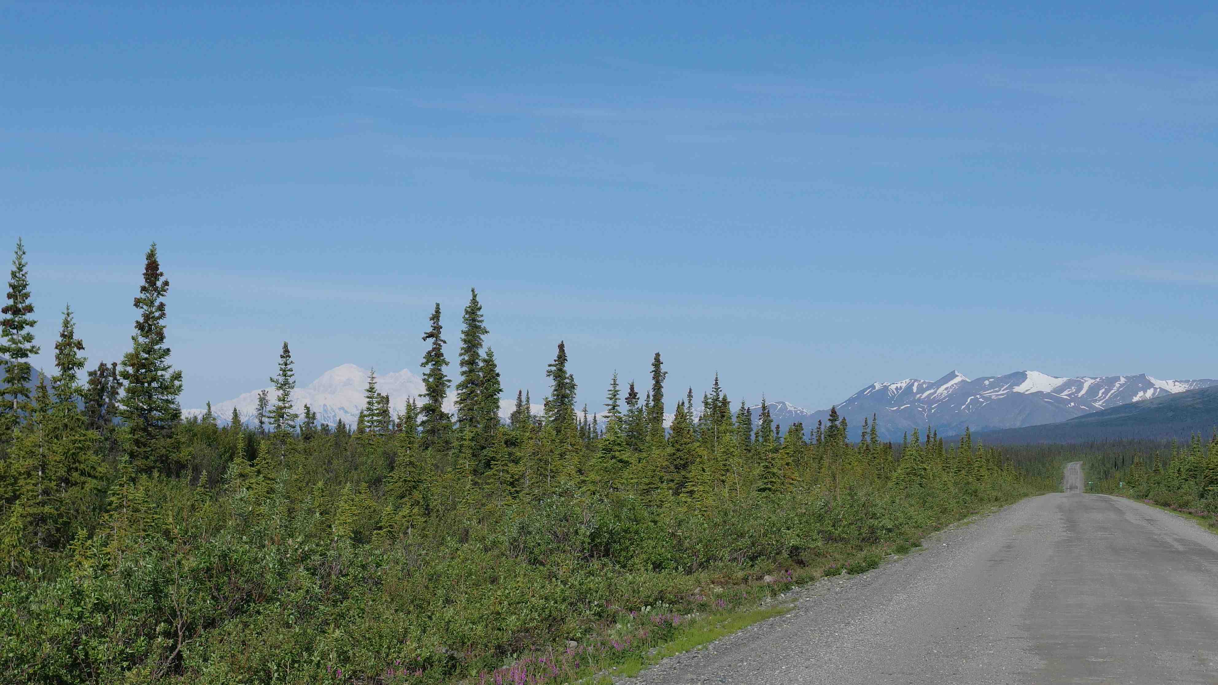 Denali Highway, Alaska imgp2382