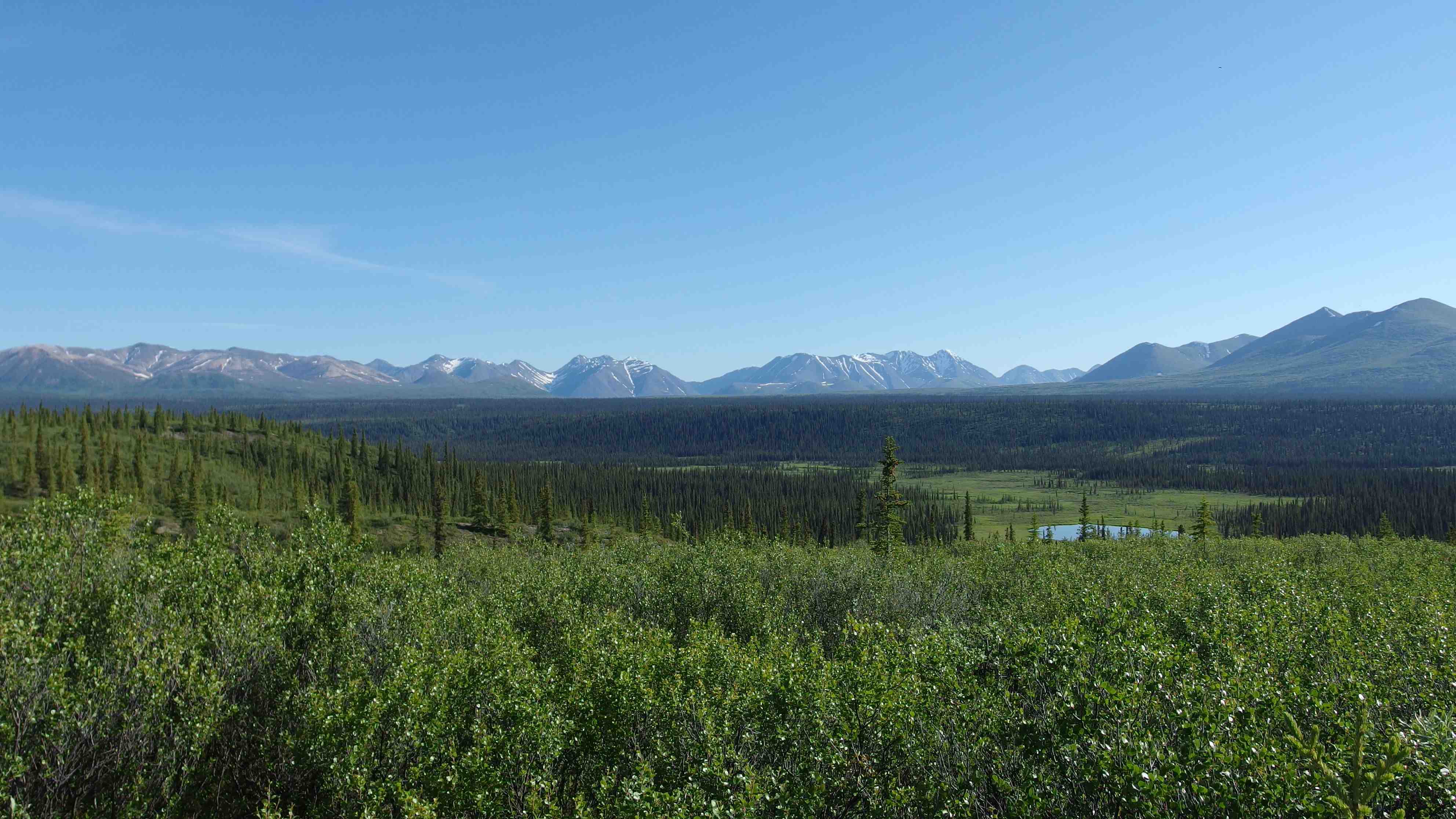 Denali Highway, Alaska imgp2398