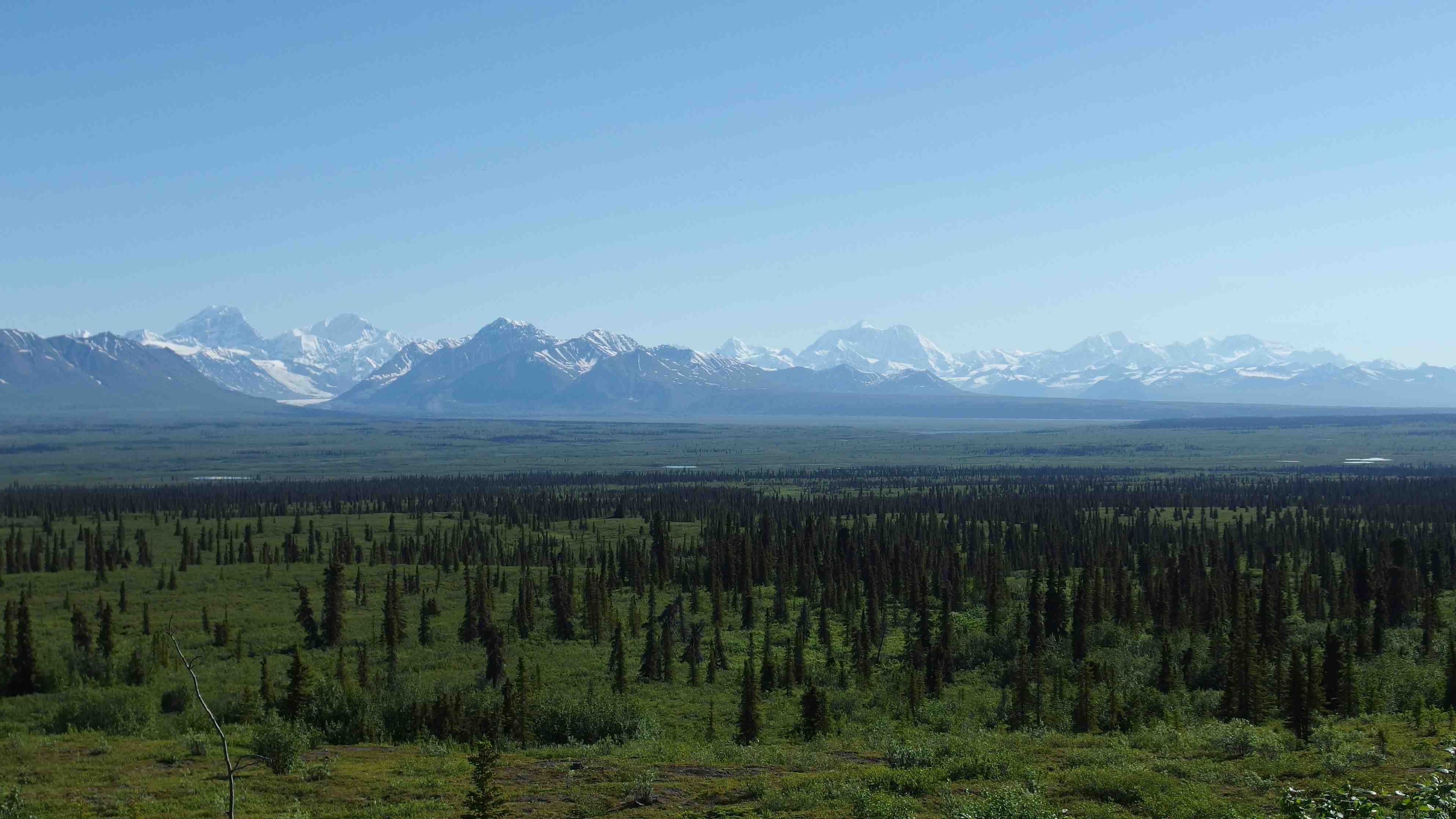 Denali Highway, Alaska imgp2407