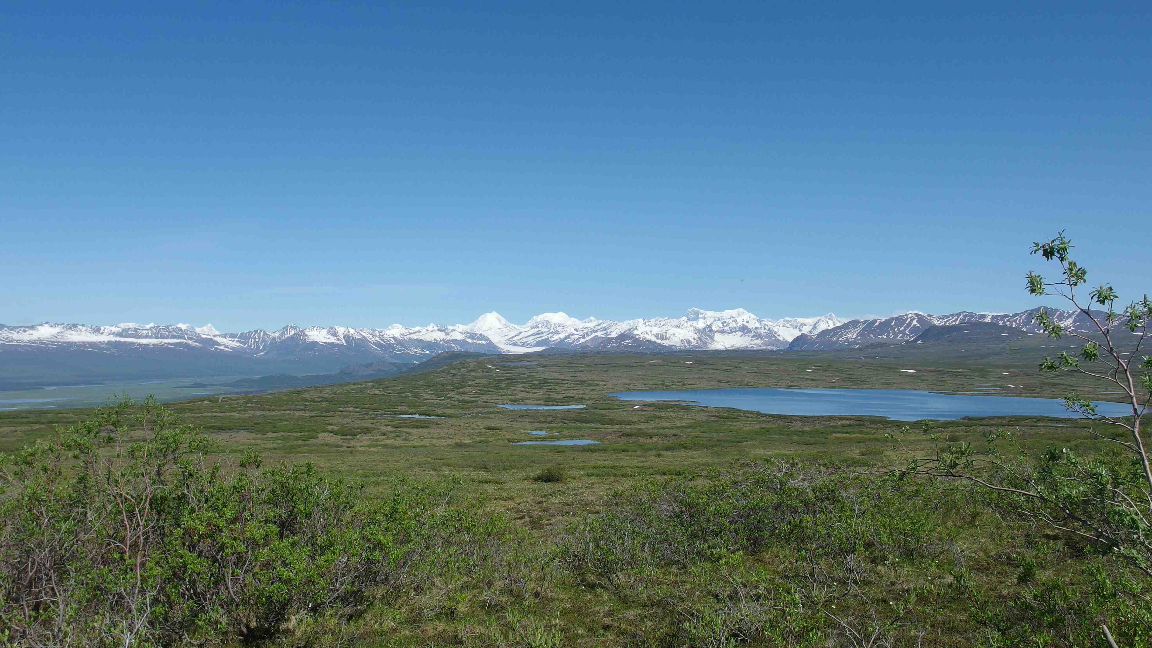 Denali Highway, Alaska imgp2439