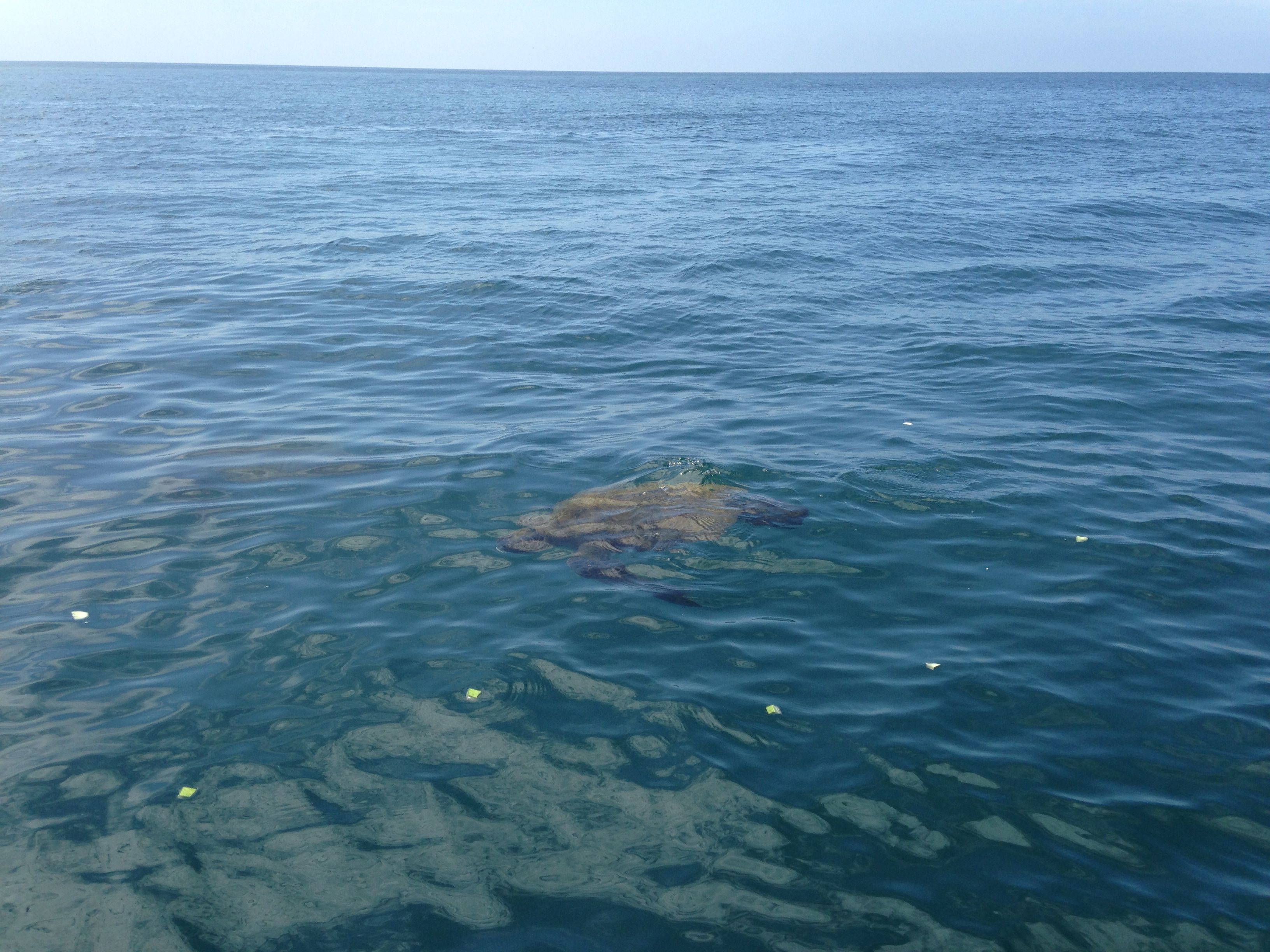 Isla de la Plata, Ecuador