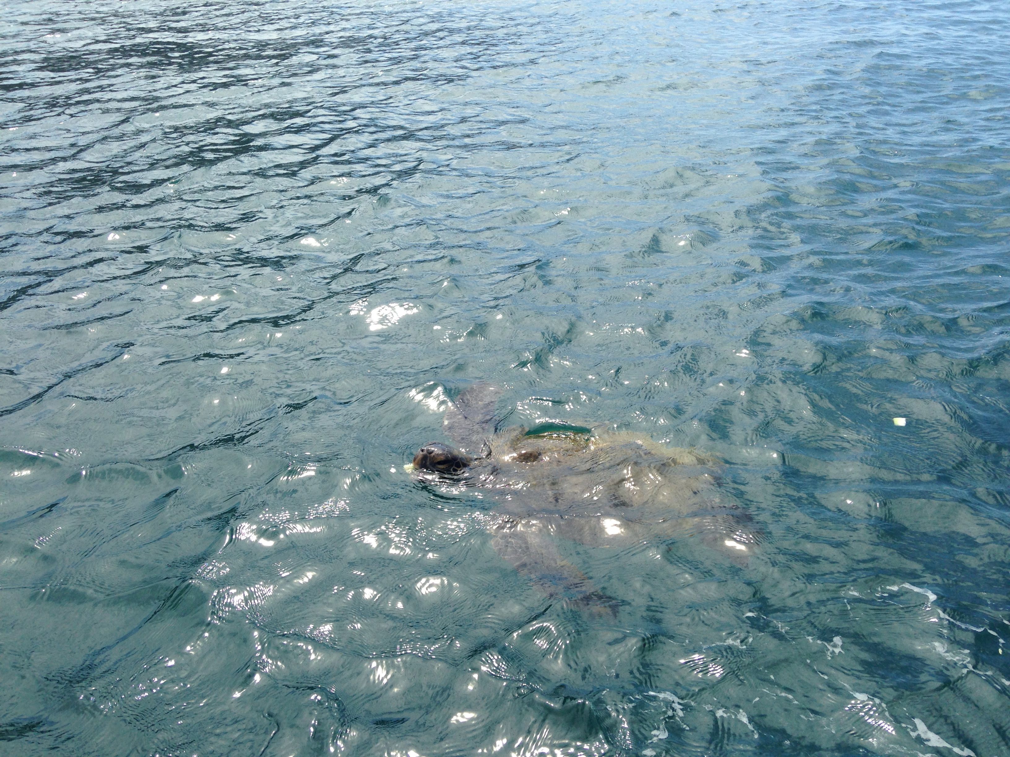 Isla de la Plata, Ecuador