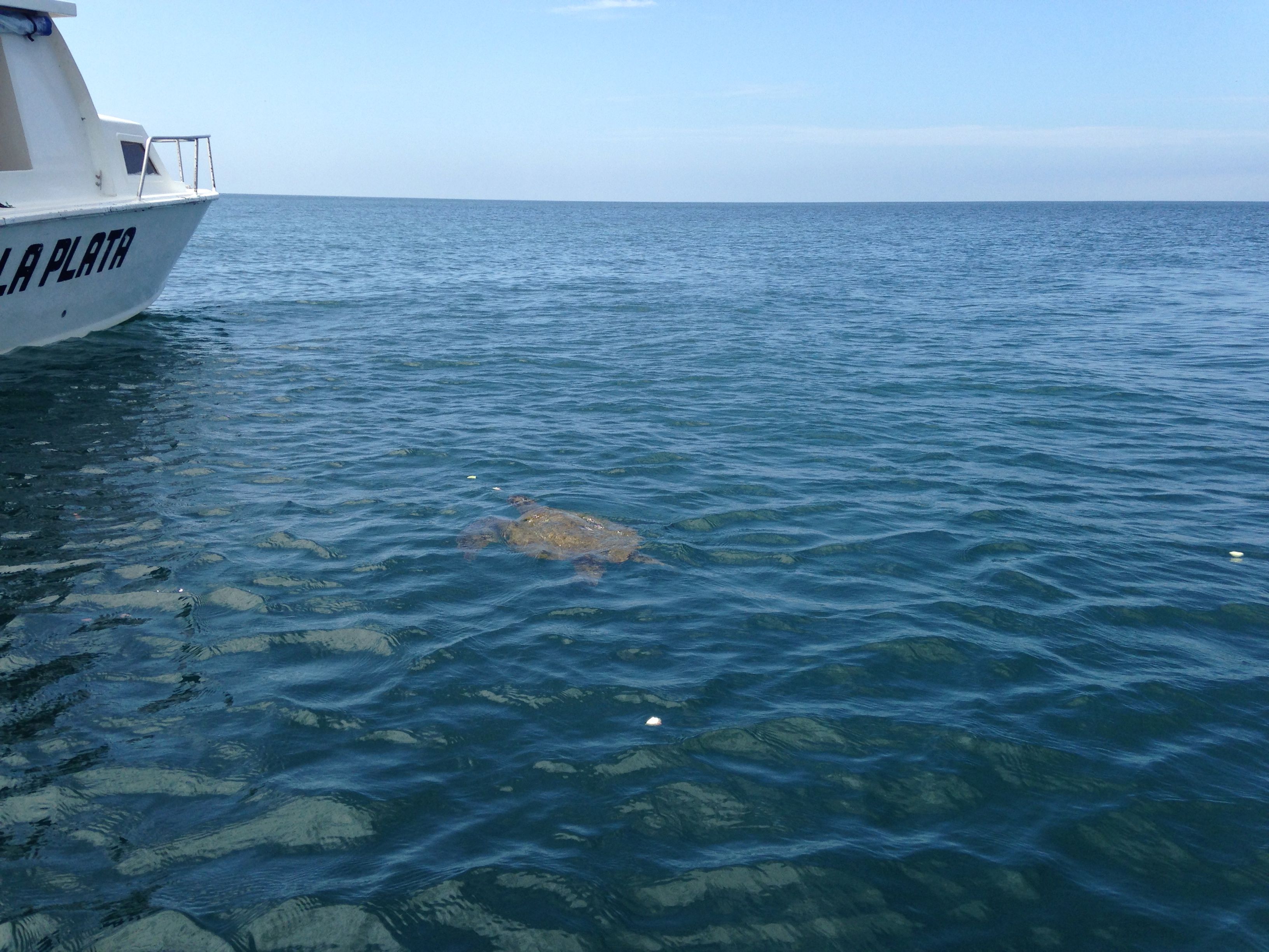 Isla de la Plata, Ecuador