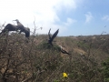 Isla de la Plata, Ecuador