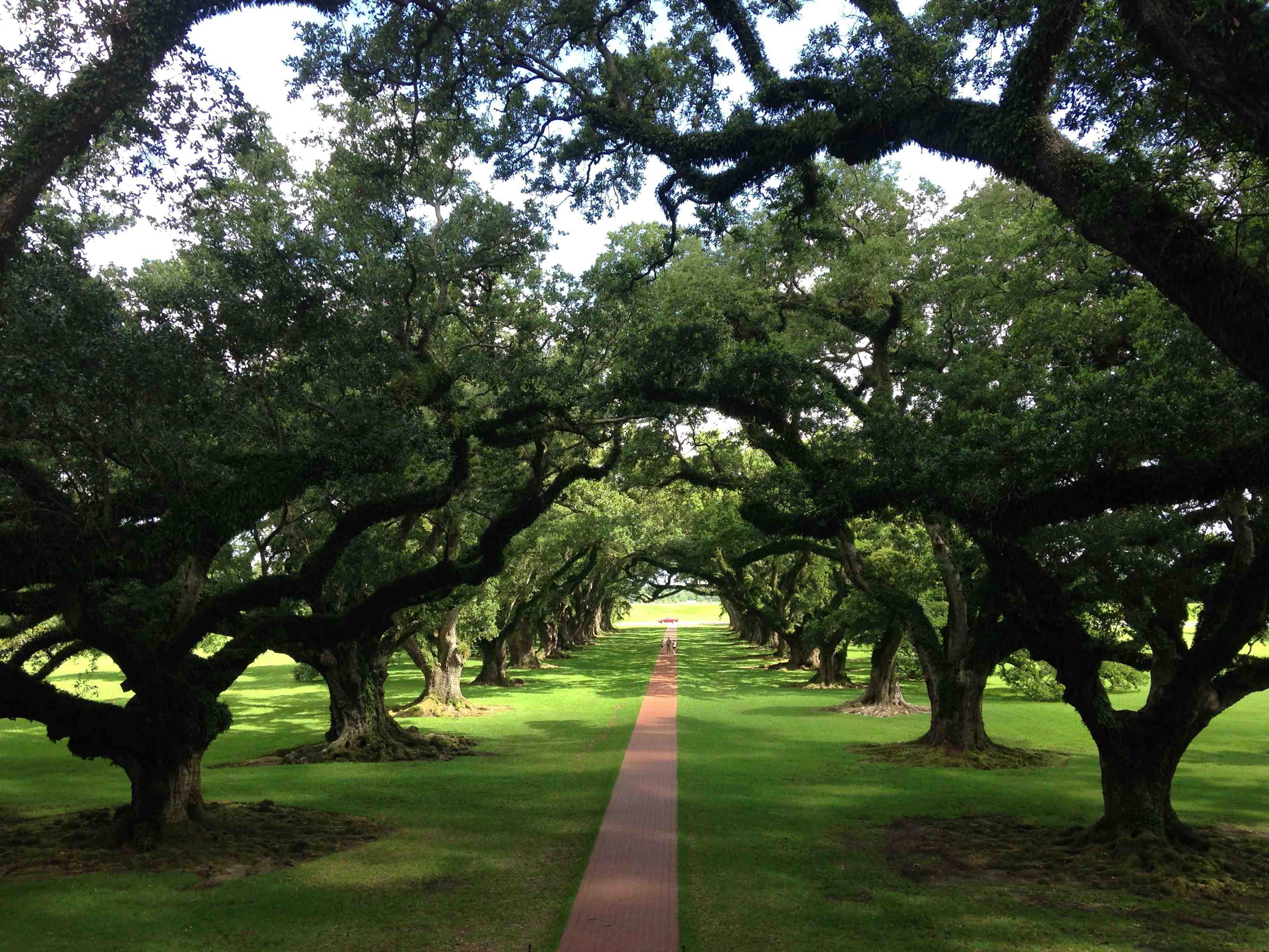 New Orleans, Louisiana