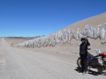 norte7