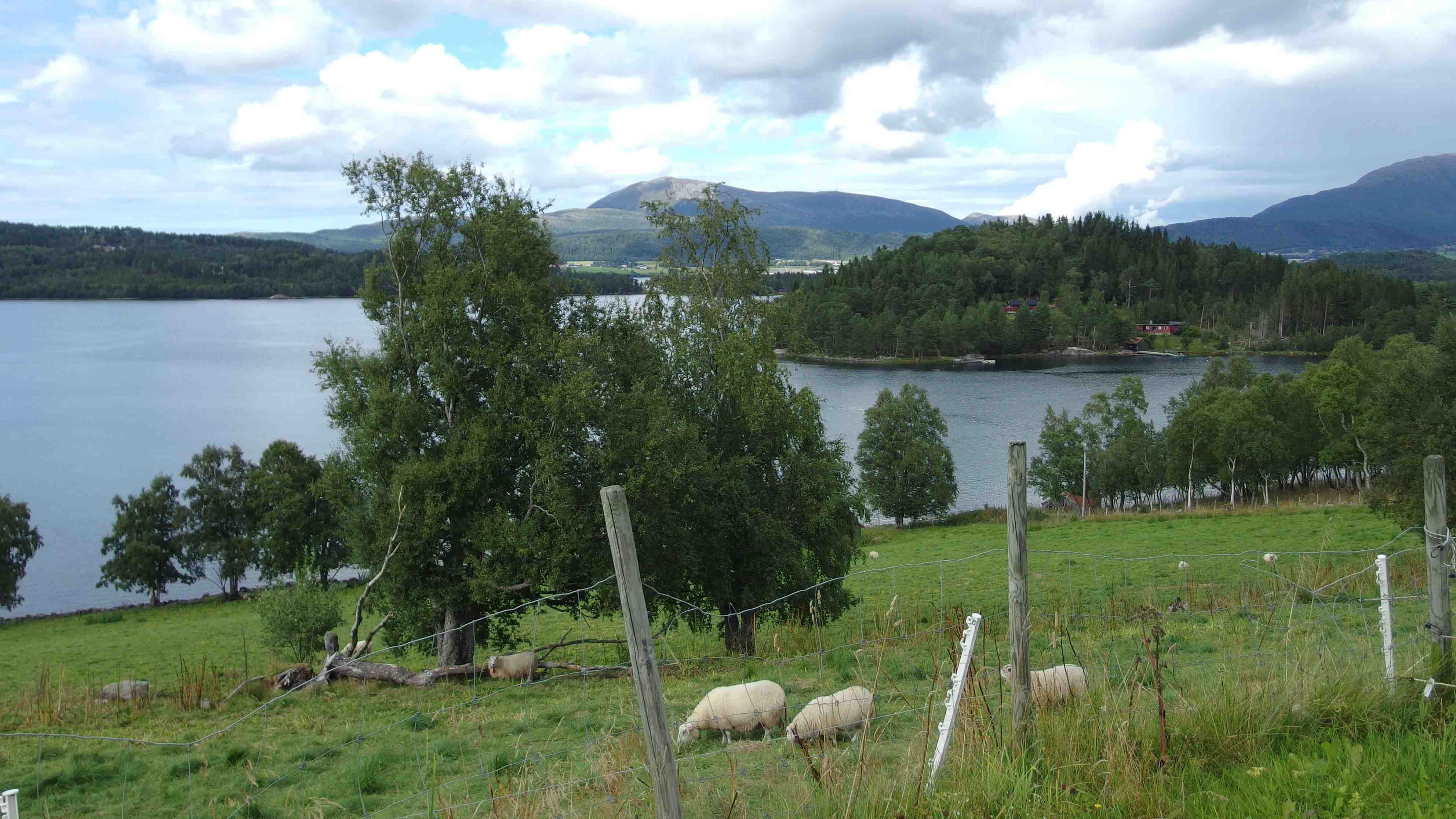 noruega-fiordos-2-21